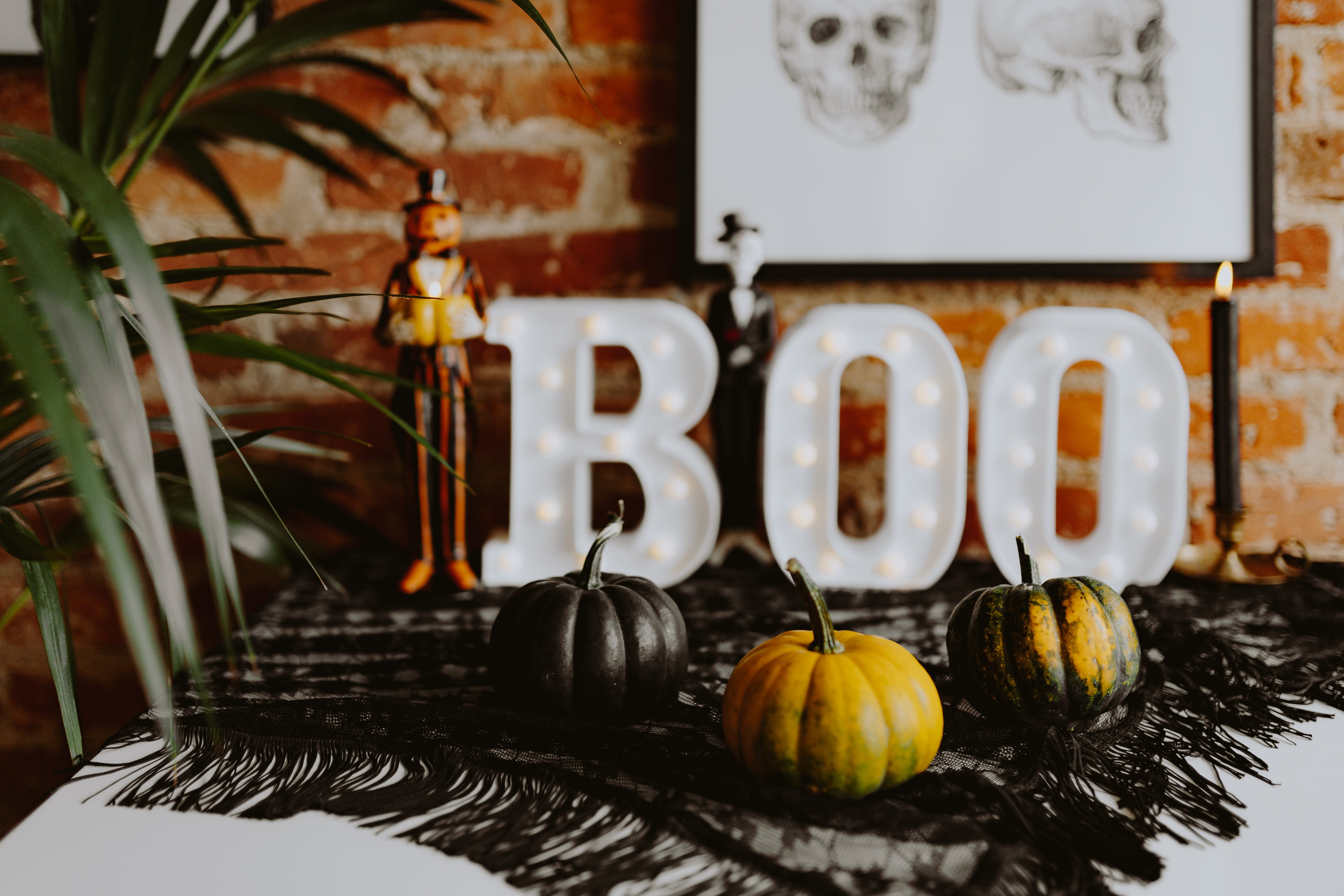 close-up, food and drink, wall - building feature, october, still life, no people, decor, wellbeing, letters, food, fall, indoors, freshness, group of objects, HD Wallpaper