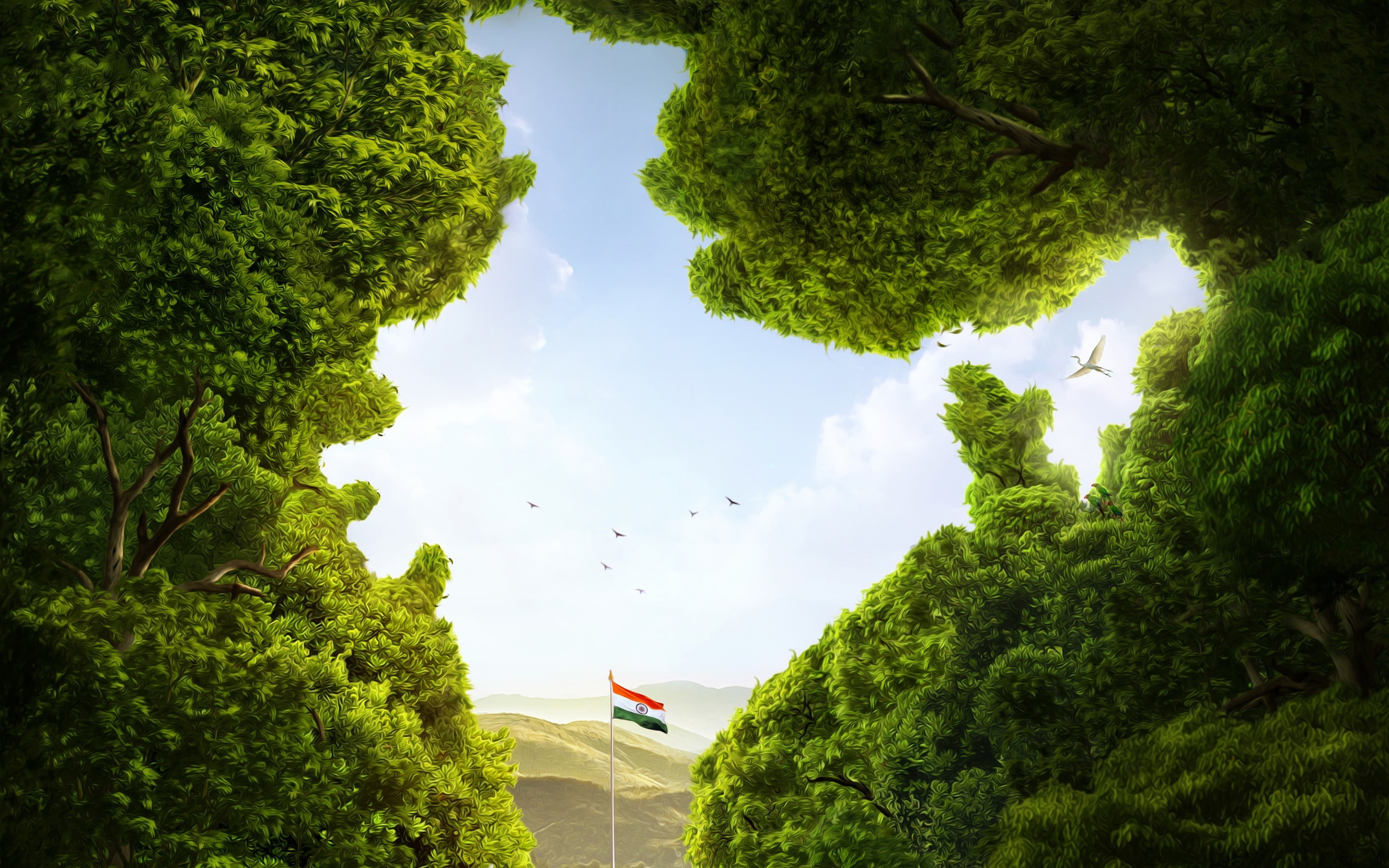 transportation, flag, foliage, growth, mode of transportation, jungle, nature, land, outdoors, scenics - nature, beauty in nature, sky, tree, comic, green, HD Wallpaper