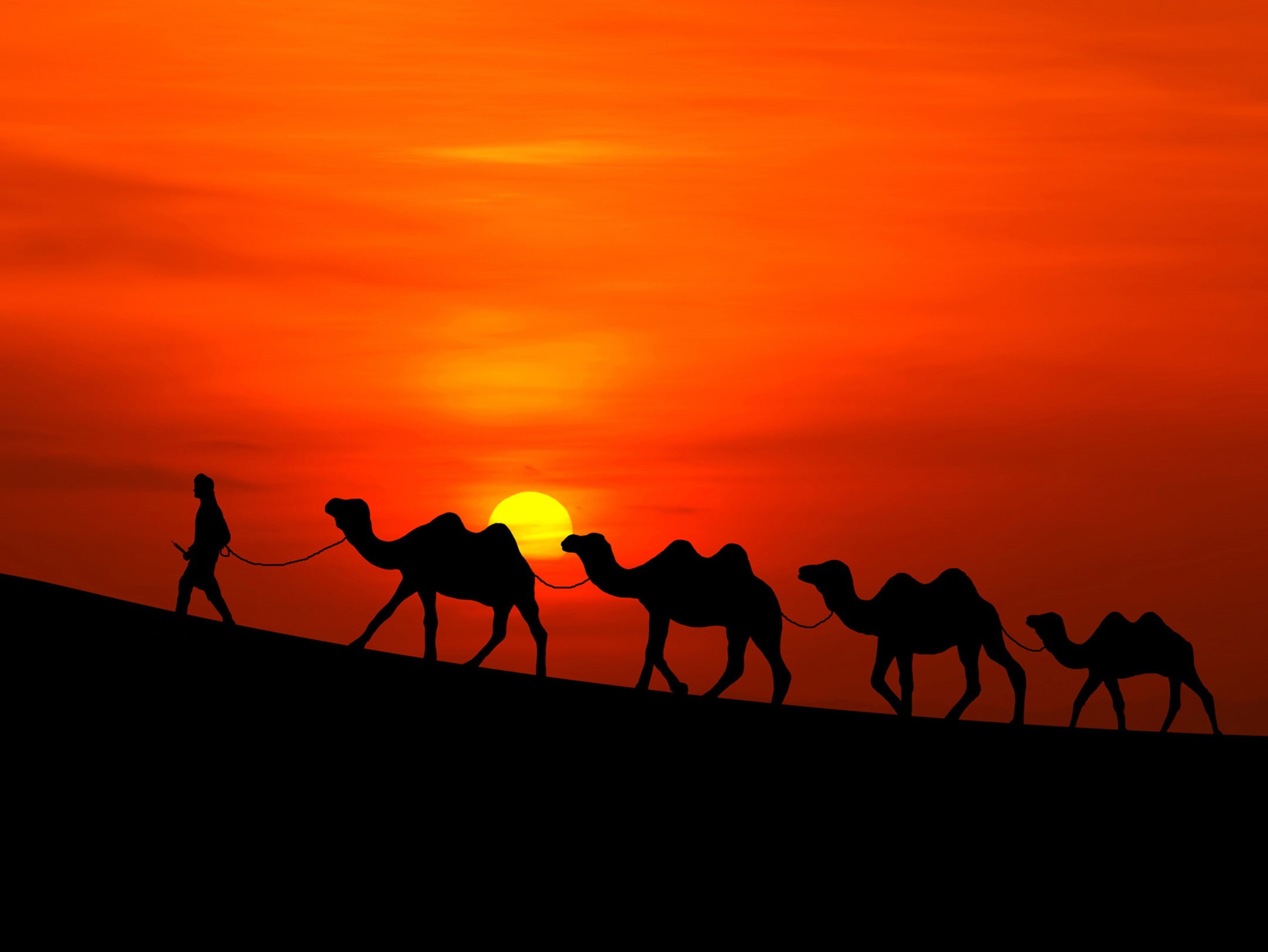 Sunset, Desert, Camels, 1080P, HD Wallpaper