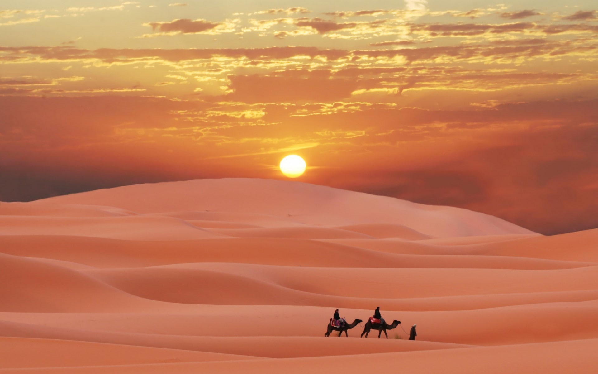 berber, desert, sand, sunset, 1080P, morocco, sahara, camel, HD Wallpaper