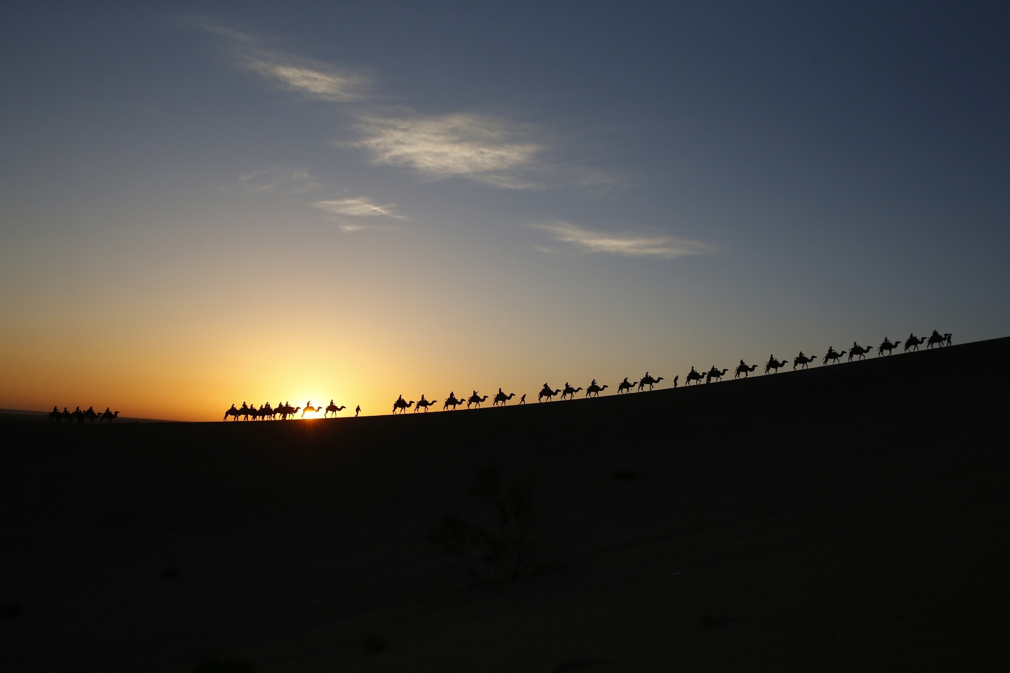 people, the sun, the sky, clouds, desert, camels, Caravan, 2K, HD Wallpaper