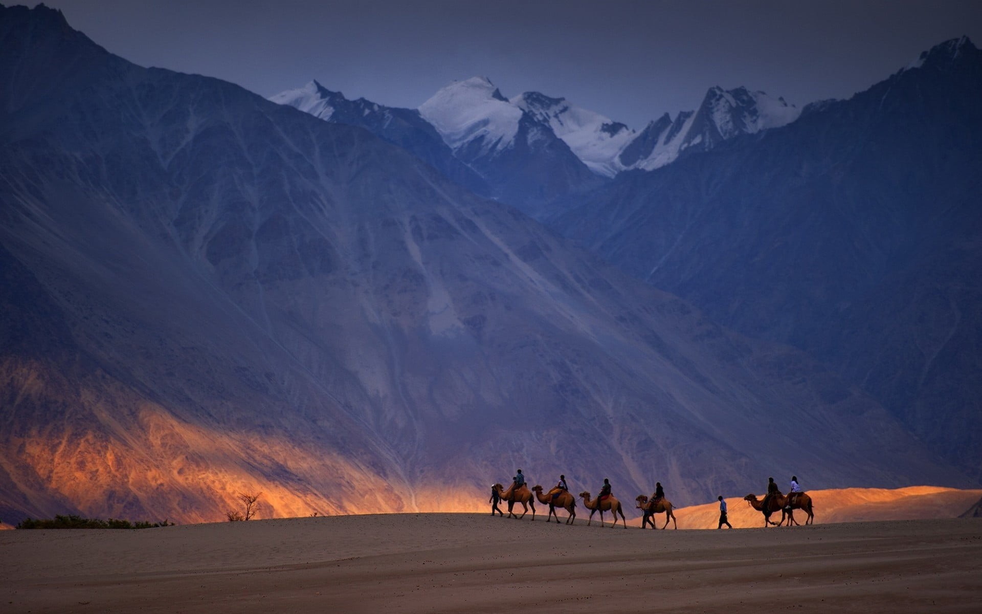 mountain, riding, nature, camel, animal themes, mountain range, domestic, rock, mountains, animal wildlife, camels, working animal, sky, animal, people, HD Wallpaper