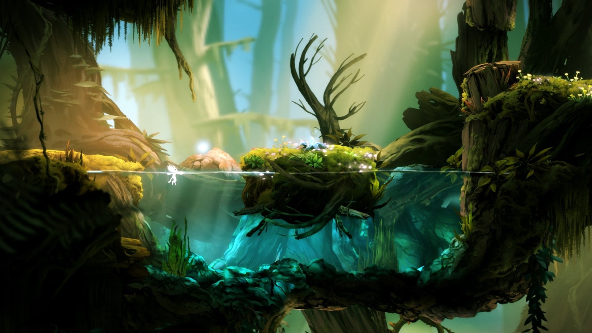 adventure, forest, action, ori-blind-forest, fantasy, blind, ori, rpg, magic, 1oribf, 1080P, HD Wallpaper