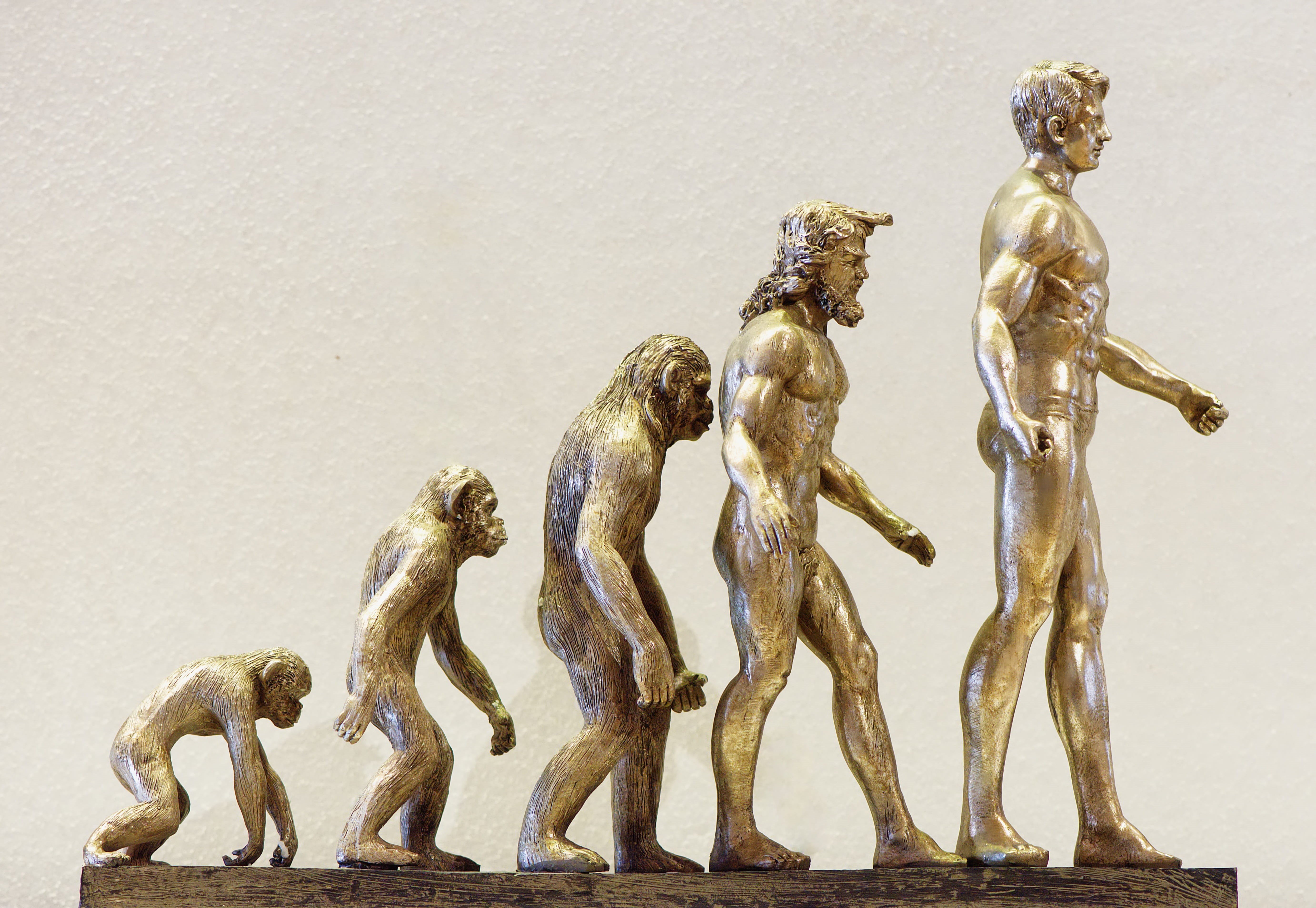 creativity, representation, change, gold, male likeness, monkey, gilded, 5K, nature, statue, gold colored, figurine, evolution, no people, sculpture, development, HD Wallpaper