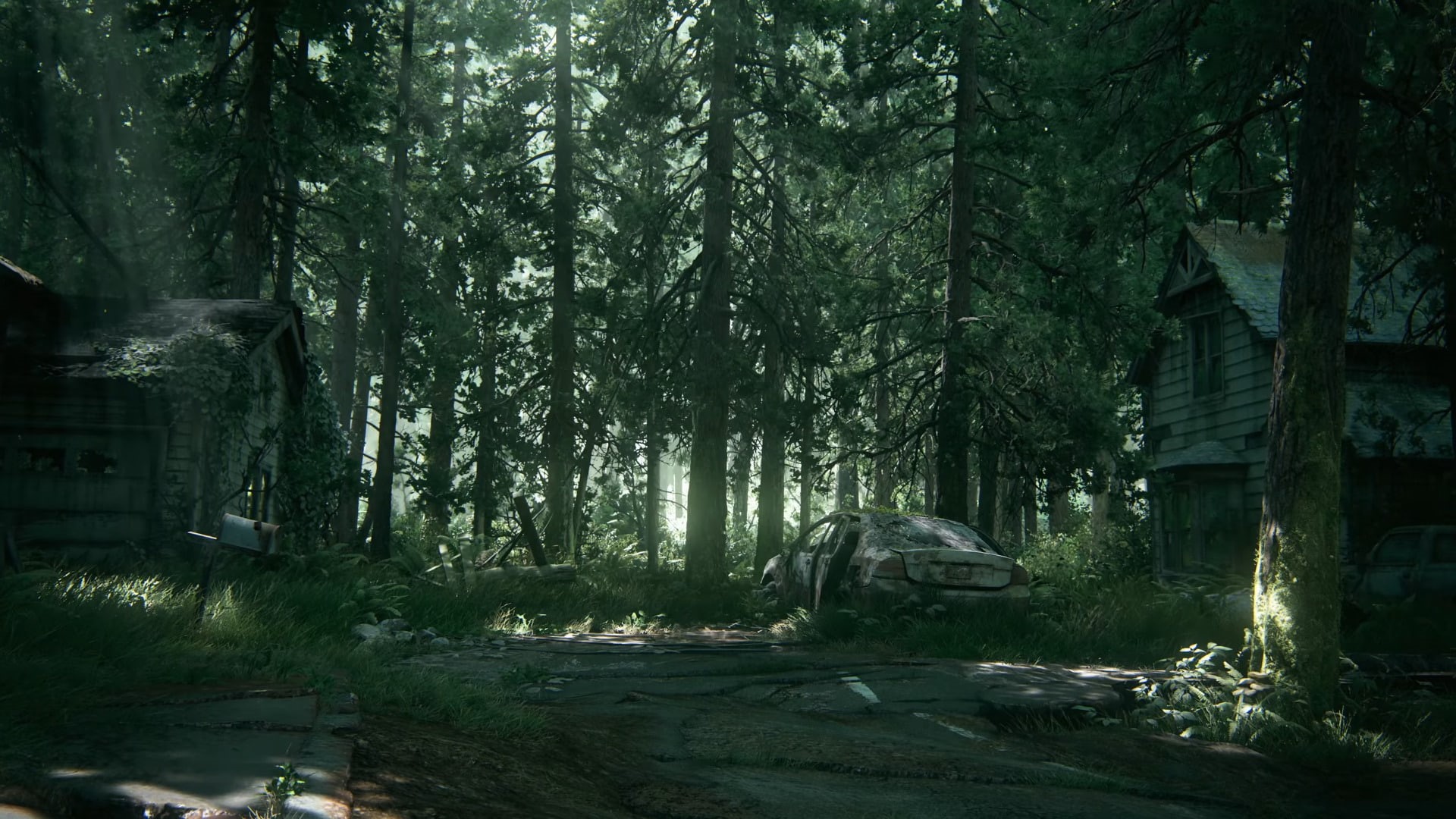 The Last of Us Part II, Video Game, 1080P, HD Wallpaper