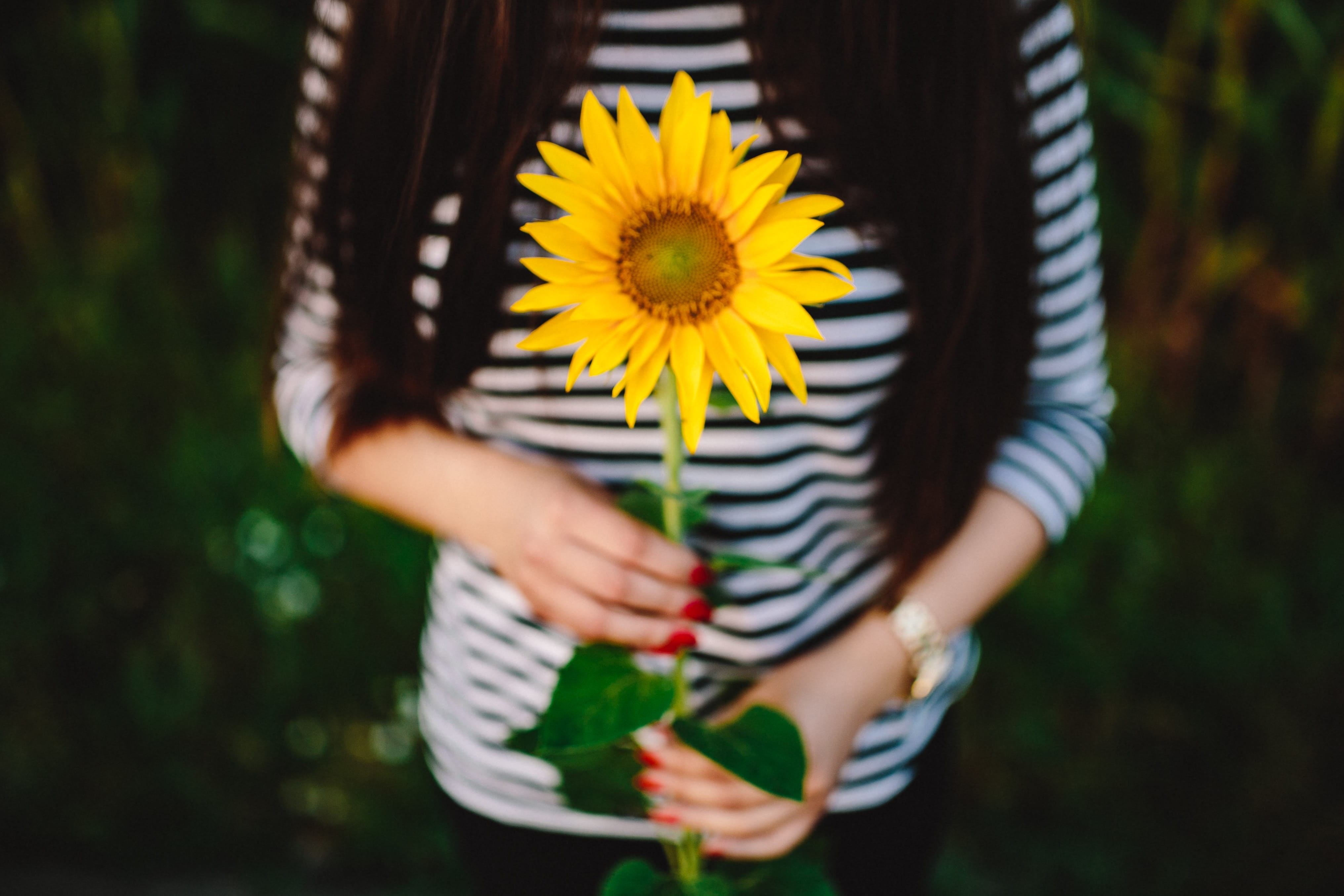 holding, people, midsection, one Person, lifestyles, standing, plant, romantic, flowers, caucasian Ethnicity, pollen, flower head, summer, green Color, HD Wallpaper
