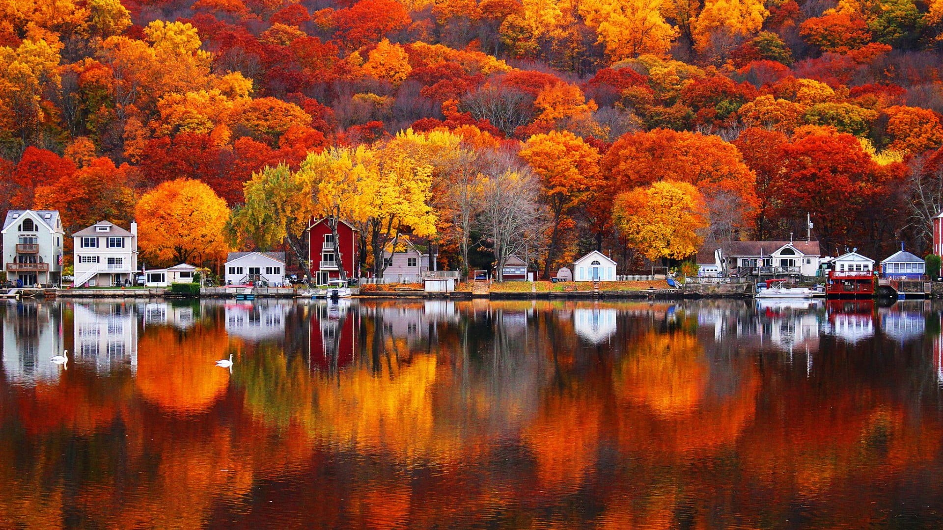 reflection, sky, house, autumn collection, united states, leaf, landscape, lake, river, leaves, usa, built structure, nature, 1080P, outdoors, tranquil scene, HD Wallpaper