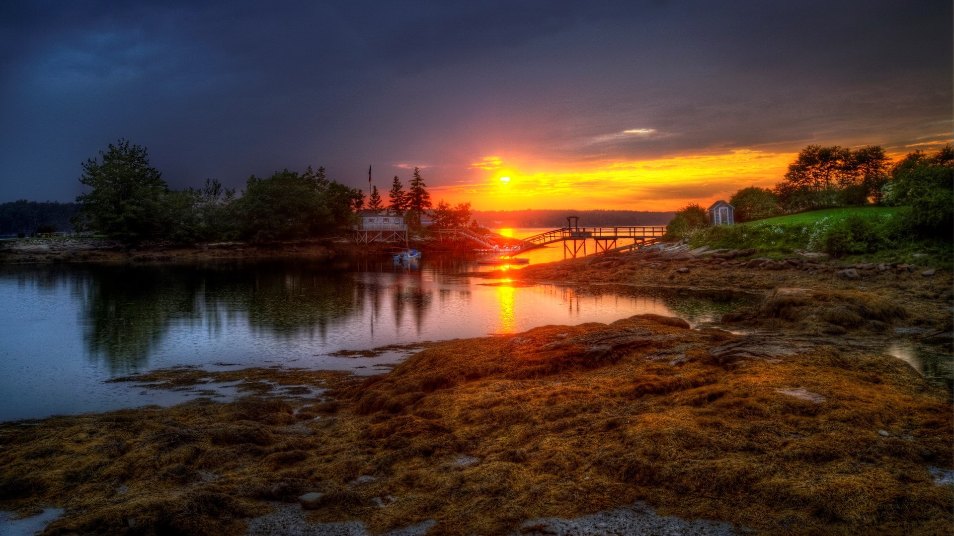 no people, lake, orange color, scenics - nature, tree, reflection, nature, beach, sky, sunset, tranquil scene, 1080P, cloud - sky, full h-d  of nature 1920x1080, HD Wallpaper
