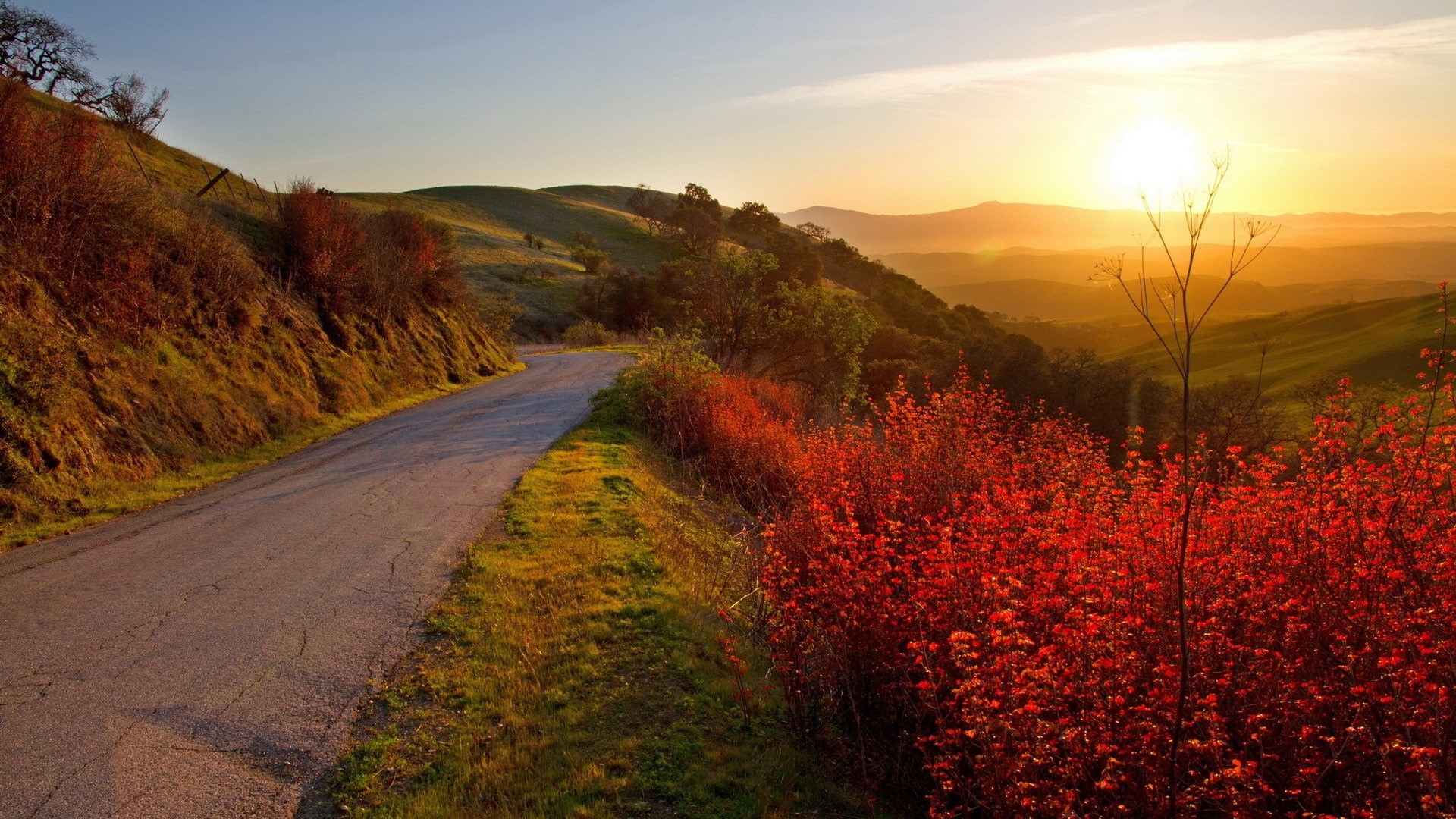 1080P, full h-d  of nature 1920x1080, HD Wallpaper