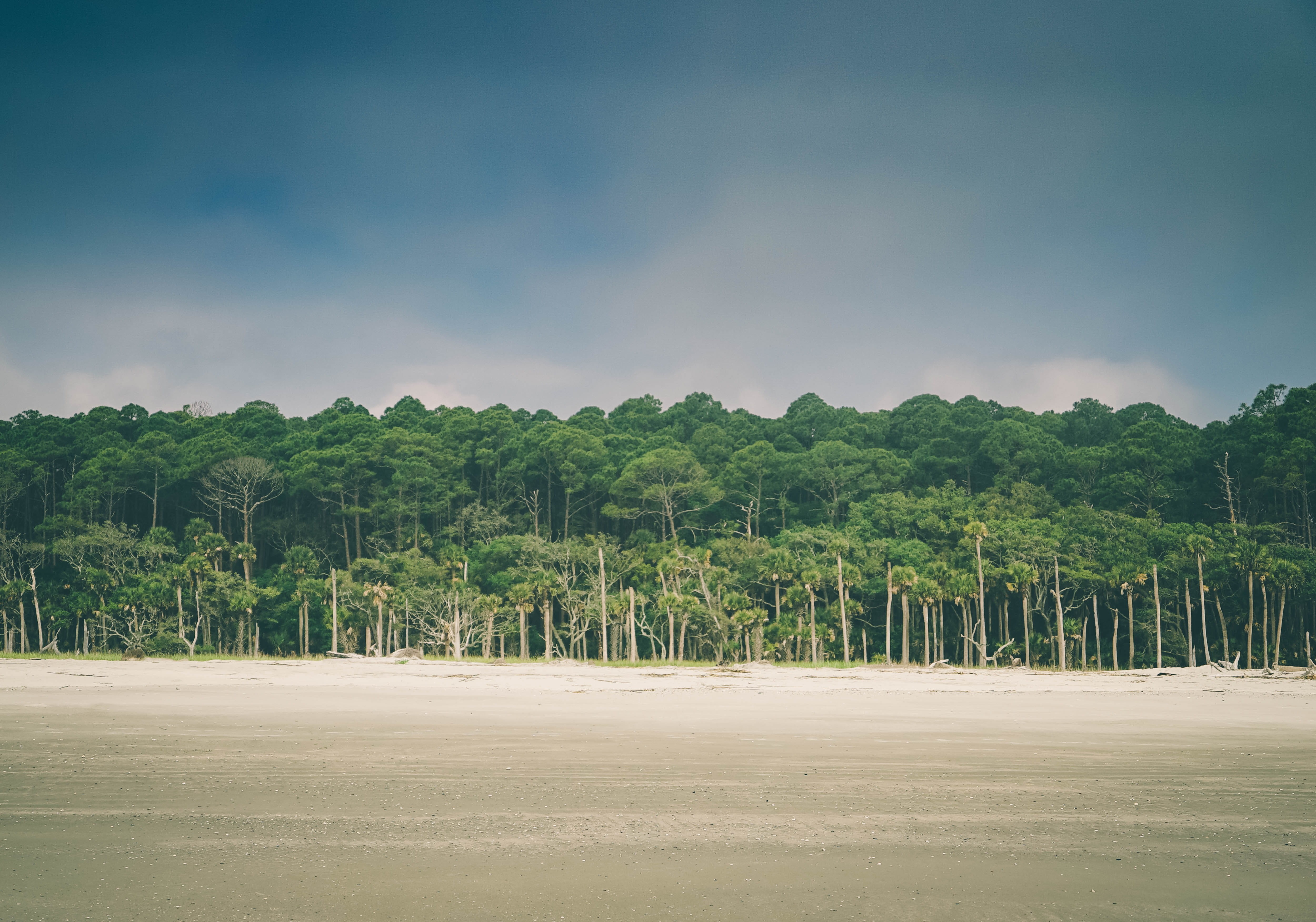 outdoors, growth, nature, sky, lost, green color, environment, beautiful, island, tranquil scene, 4K, landscape, beauty in nature, scenics - nature, tree, HD Wallpaper