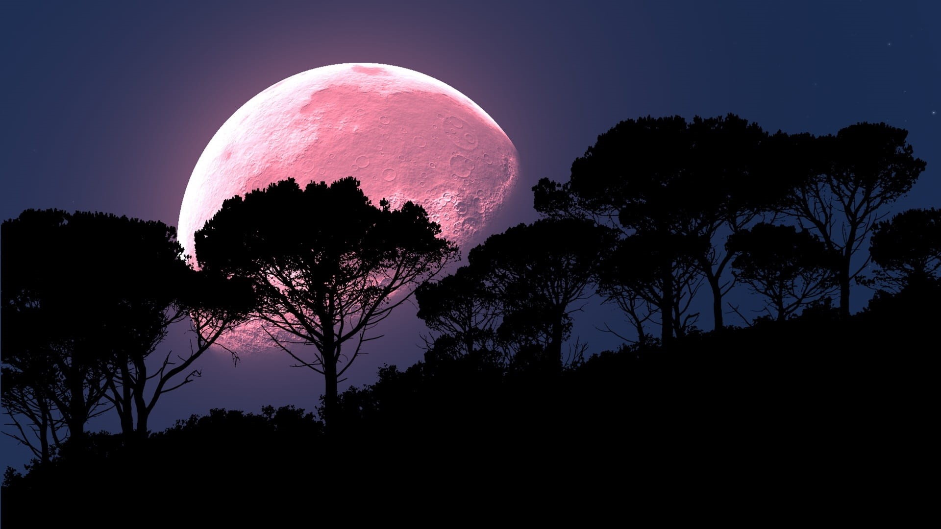land, moon, beauty in nature, sky, tree, no people, night, silhouette, night time, growth, 1080P, tranquility, moonlight, trees, time, space, plant, non-urban scene, HD Wallpaper