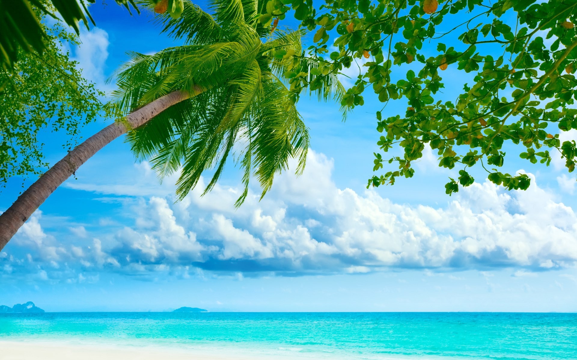 1080P, background nature image 1920x1200, HD Wallpaper