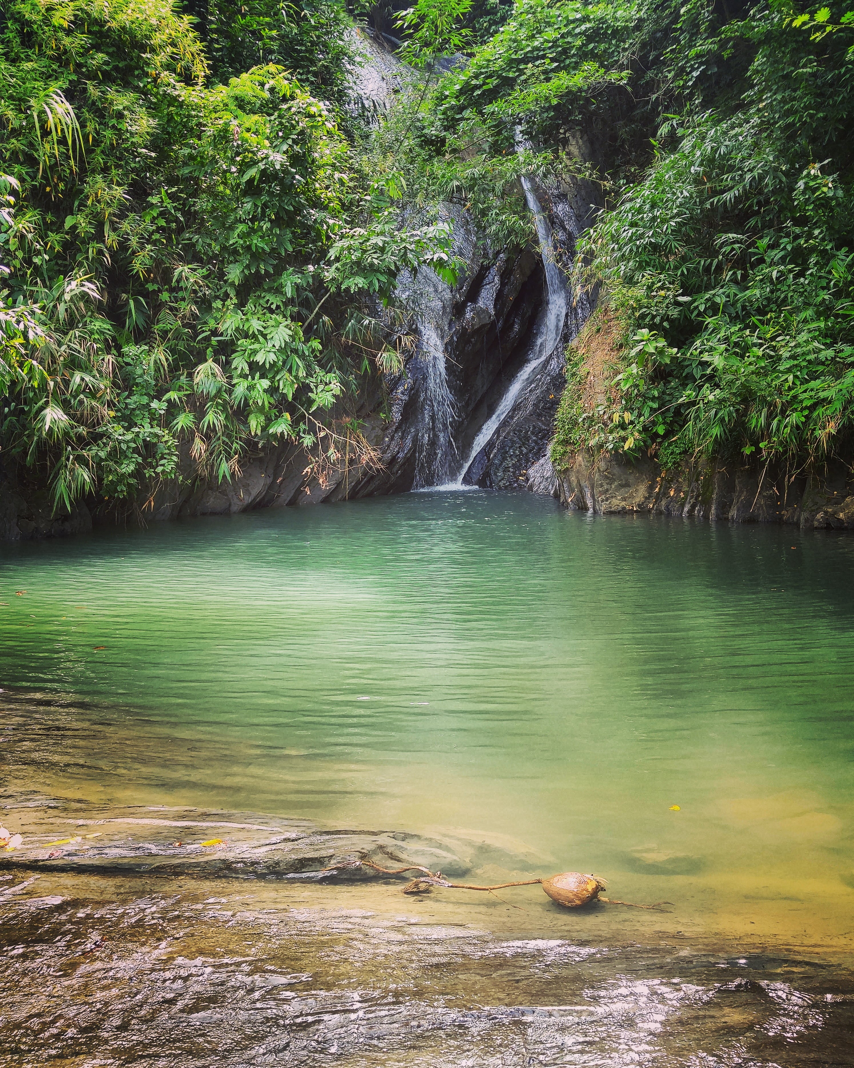 beauty in nature, water, rock formation, jungle, rock, motion, river, 2K, tree, no people, power in nature, solid, non-urban scene, flowing, scenics - nature, Phone HD Wallpaper