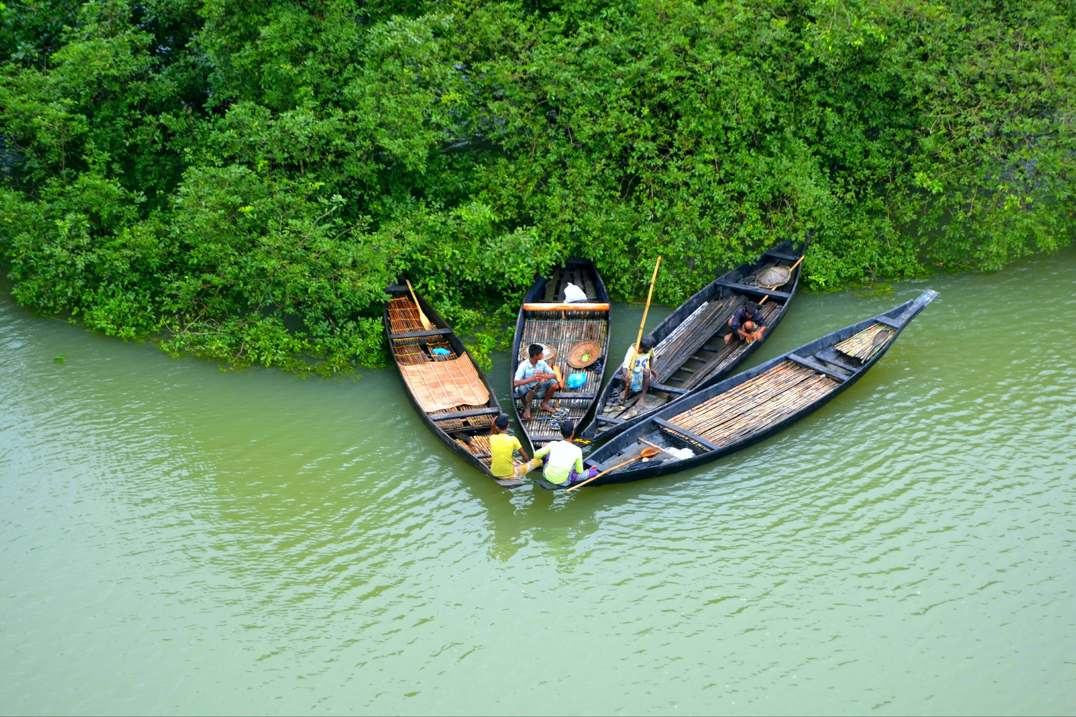 green, beauty in nature, leisure activity, tree, 4K, men, day, lifestyles, green color, nautical vessel, view, leafed, four, plants, brown, water, outdoors, HD Wallpaper