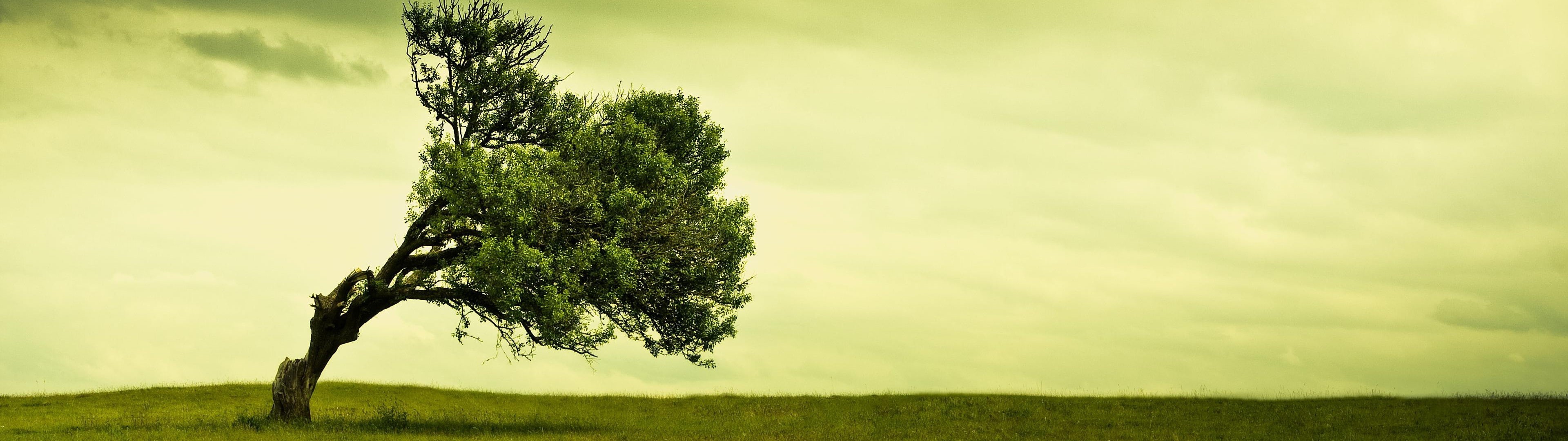 nature landscape dual screen, 4K, HD Wallpaper