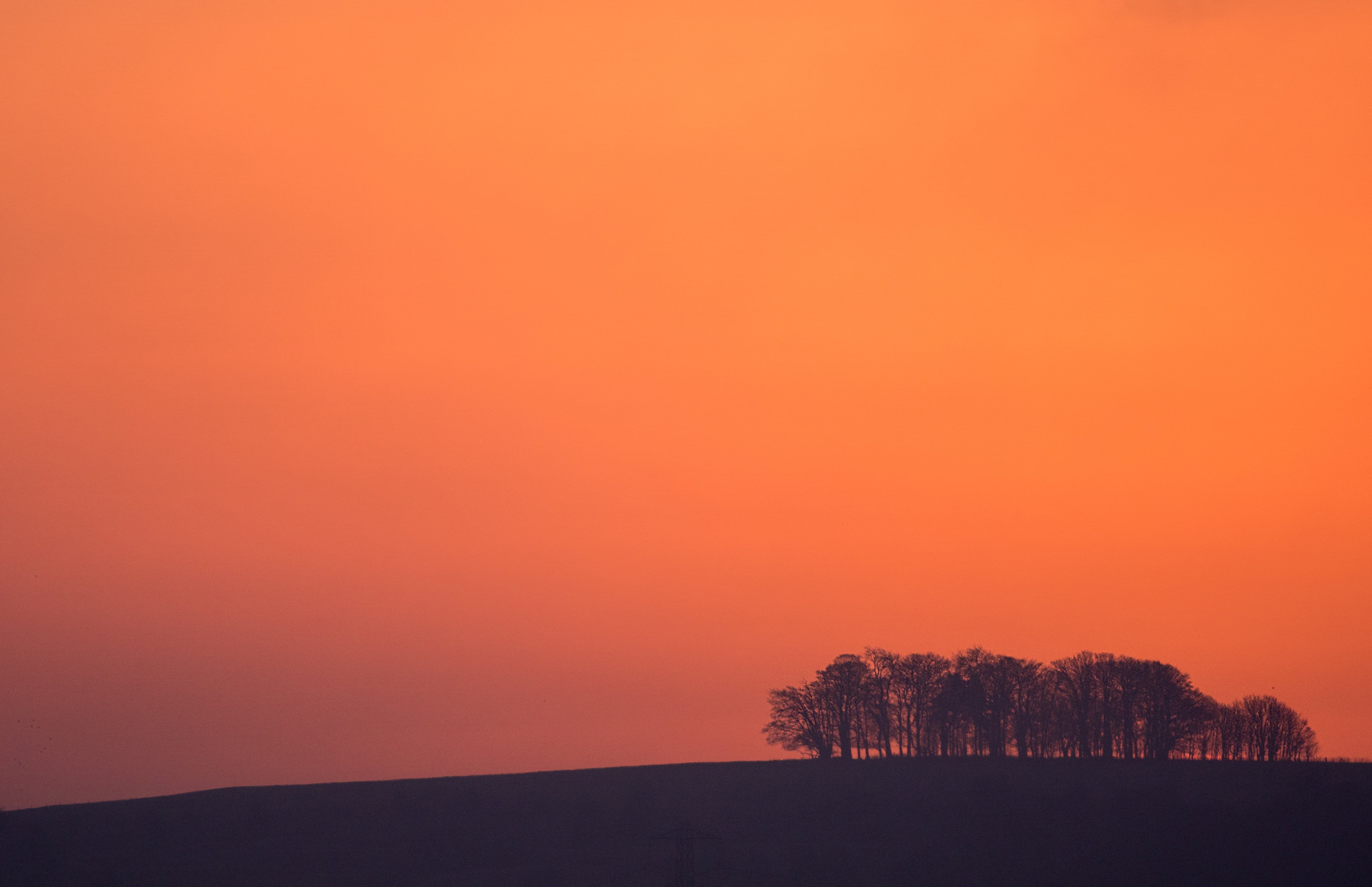 sunrise - Dawn, planet, world, photo, country, countryside, national, nature, trees, art, english  uk, orange Color, british, sunset, light, picture, scenics, HD Wallpaper