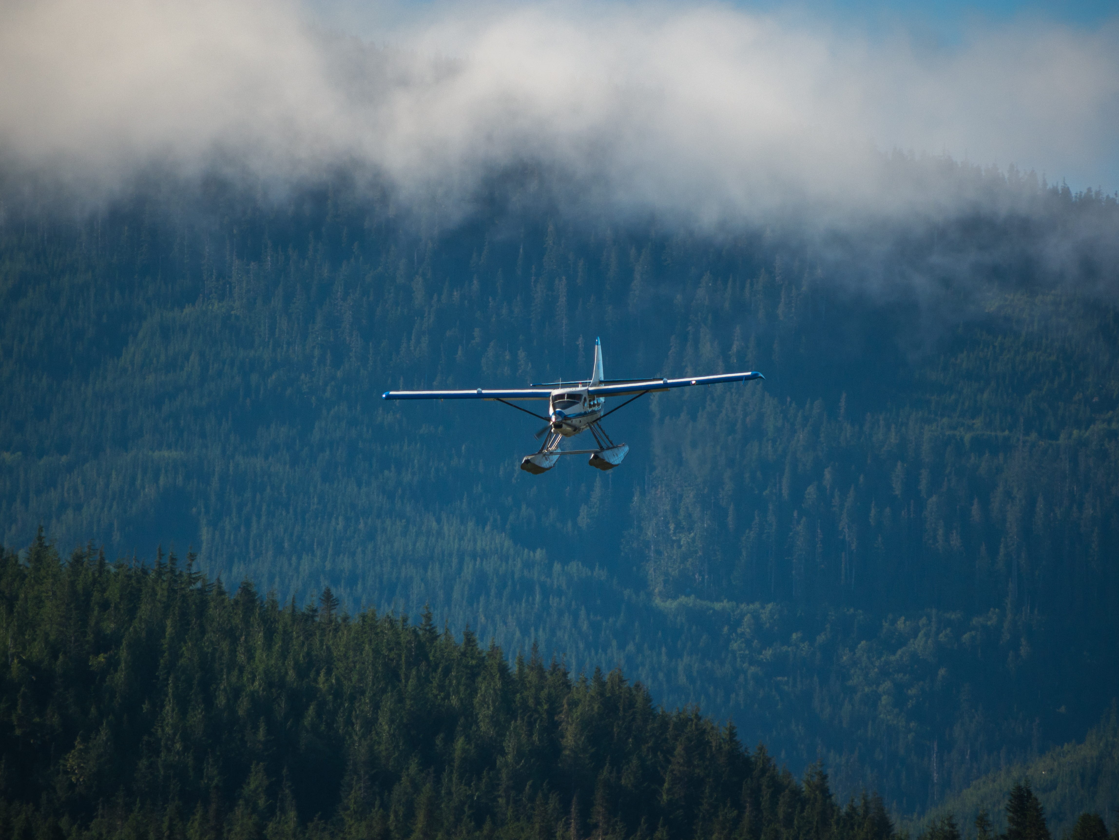 plant, travel, canada, motion, fog, mid-air, transportation, blue, aerospace industry, tree, 4K, trees, no people, nature, forest, seaplane, flying, cloud - sky, HD Wallpaper