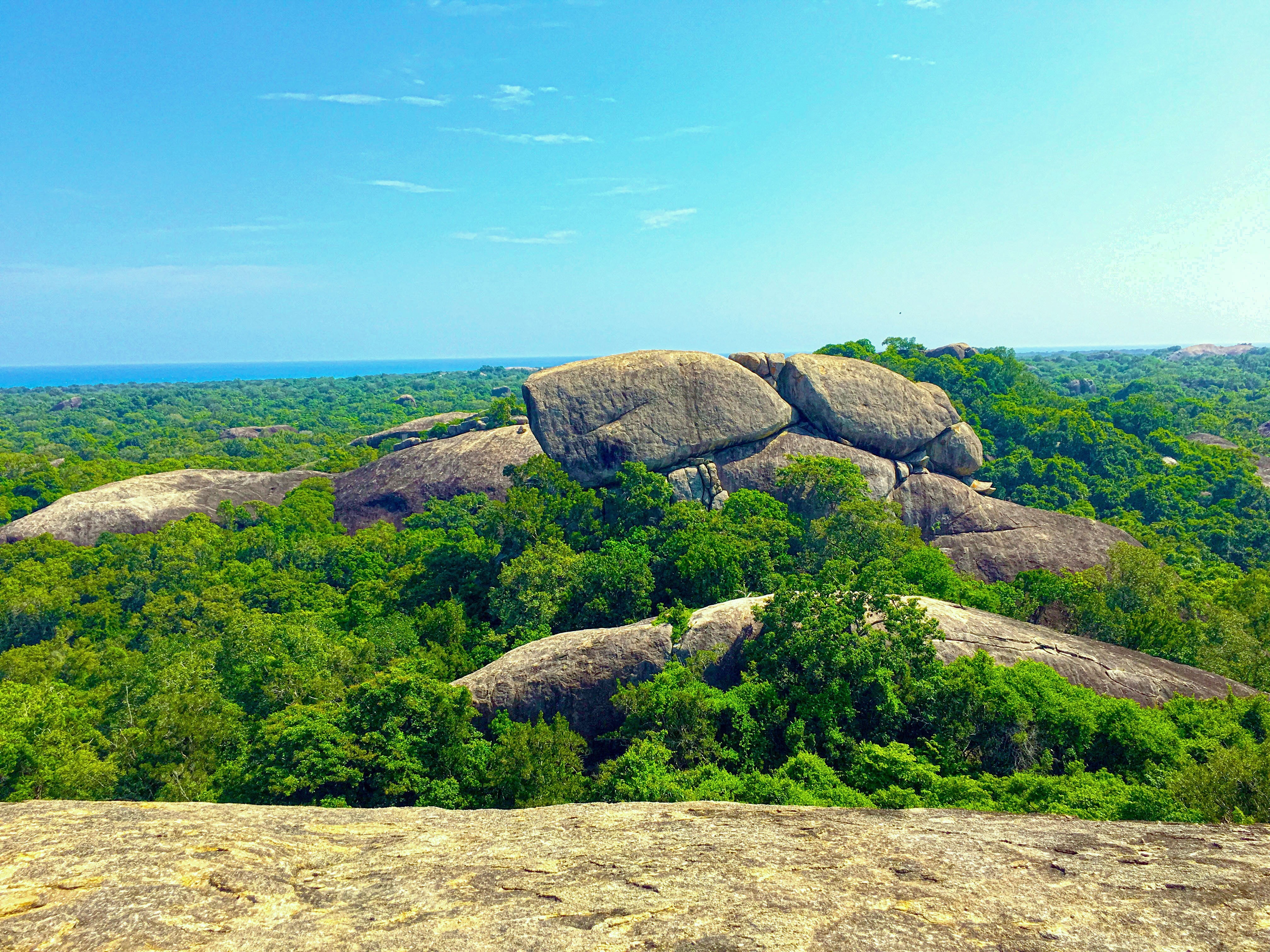 trees, nature, 4K, rock, forest, Sri Lanka, photography, HD Wallpaper
