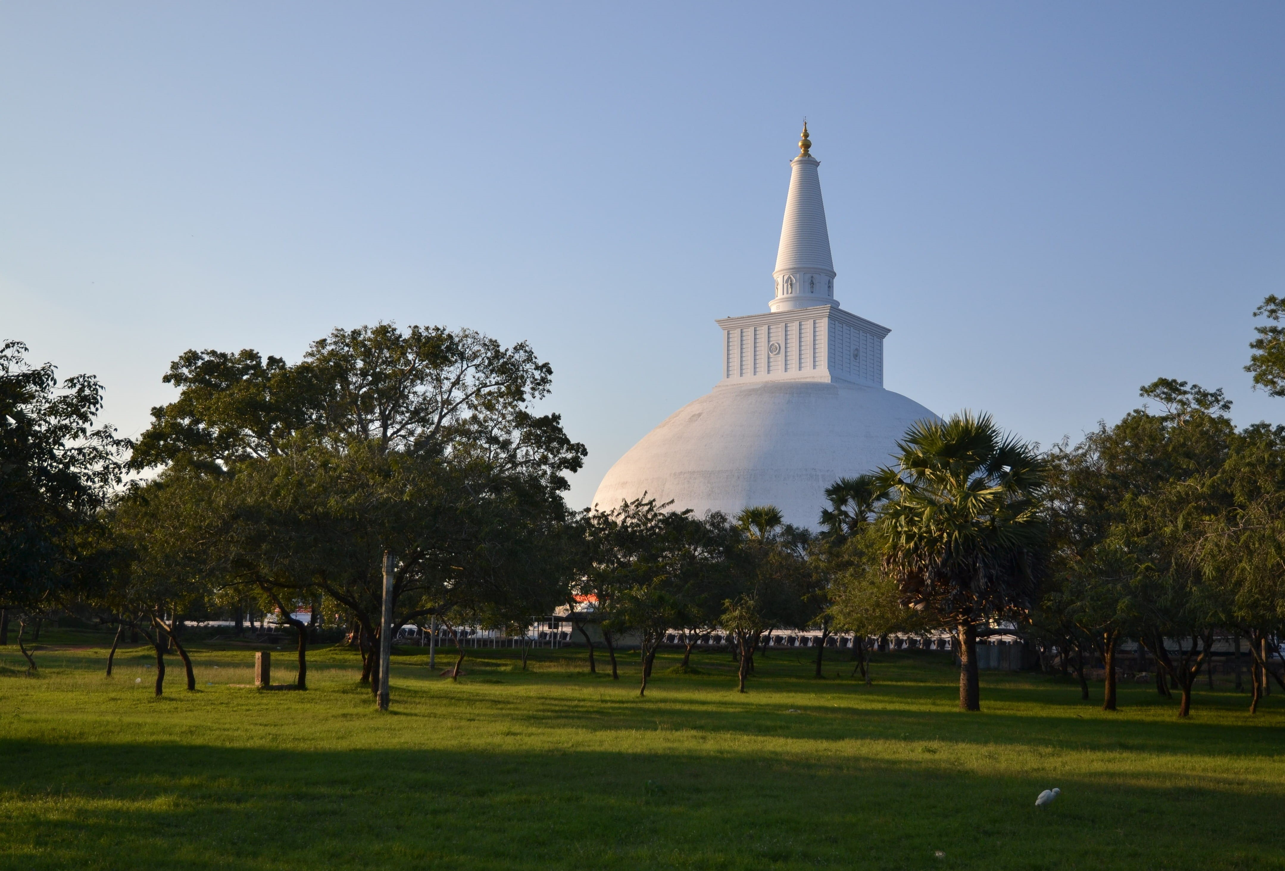 sri lanka, travel, 4K, day, growth, building exterior, architecture, nature, dome, grass, government, outdoors, tourism, sky, plant, travel destinations, HD Wallpaper
