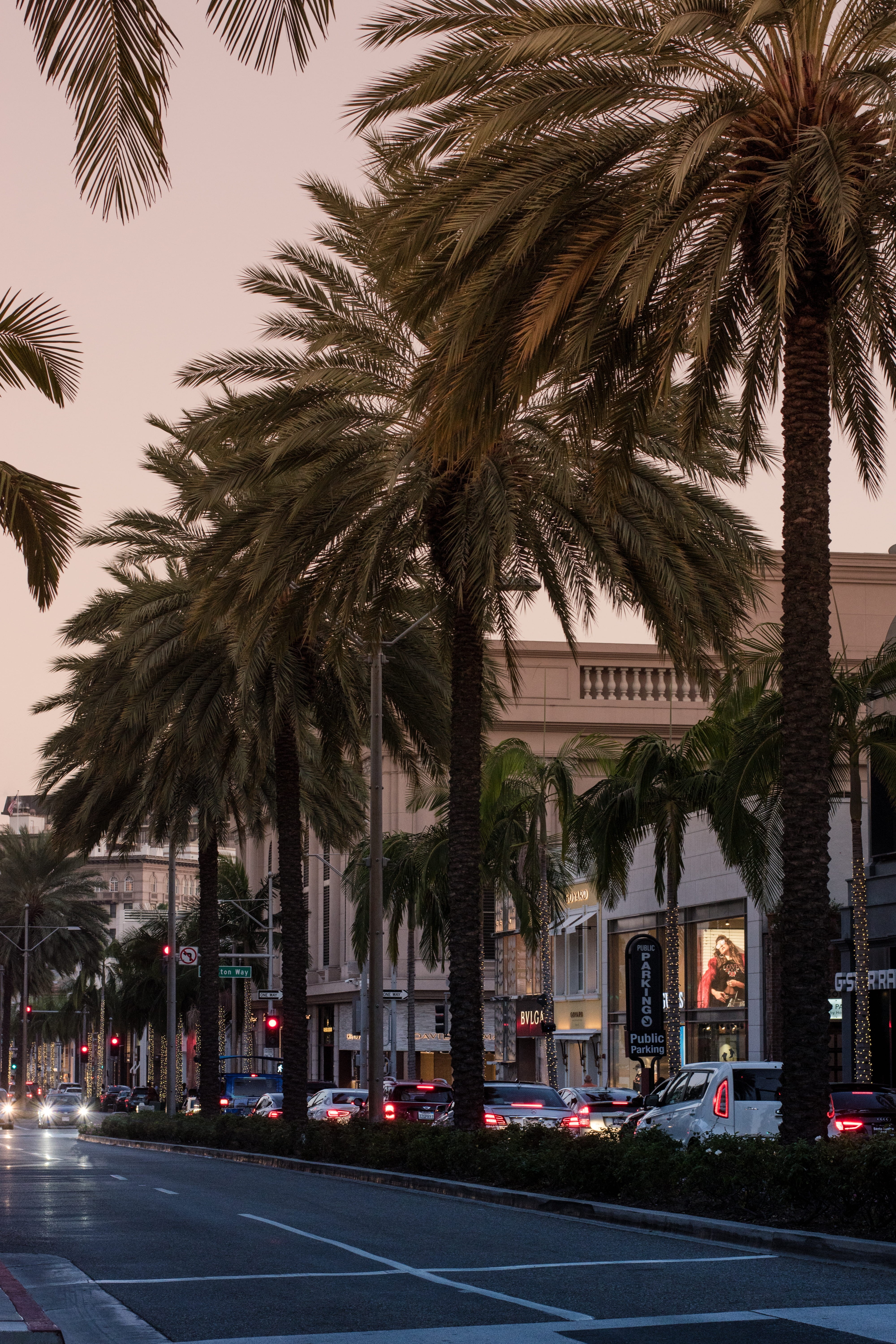 transportation, marking, beverly hills, road, rodeo drive, sign, palm tree, treelined, built structure, city, tree, plant, nature, 5K, architecture, mode of transportation, Phone HD Wallpaper
