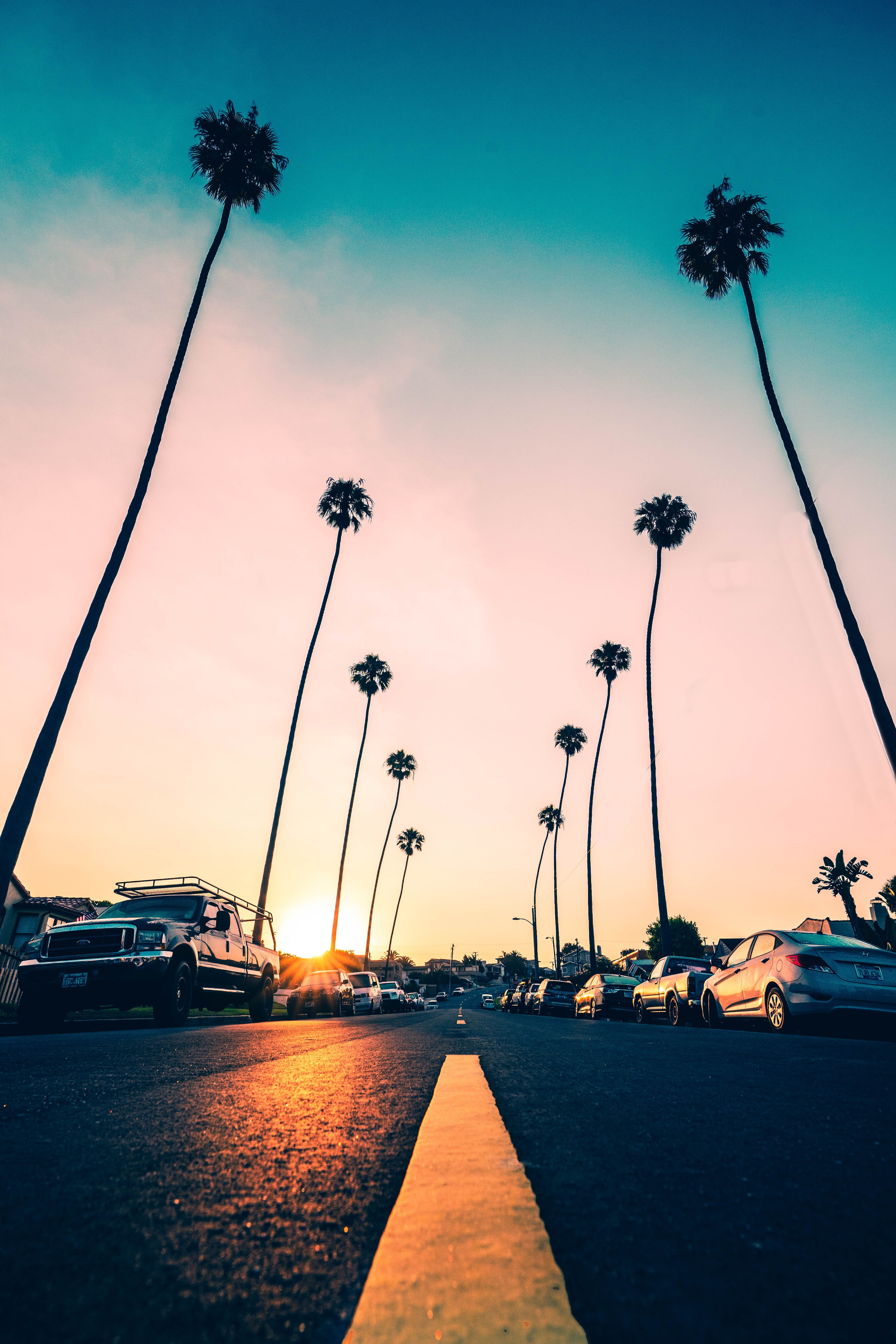 asphalt, road, 5K, car, nautical vessel, plant, city, no people, mode of transportation, sky, tree, motor vehicle, cloud - sky, cars, california, tropical climate, Phone HD Wallpaper
