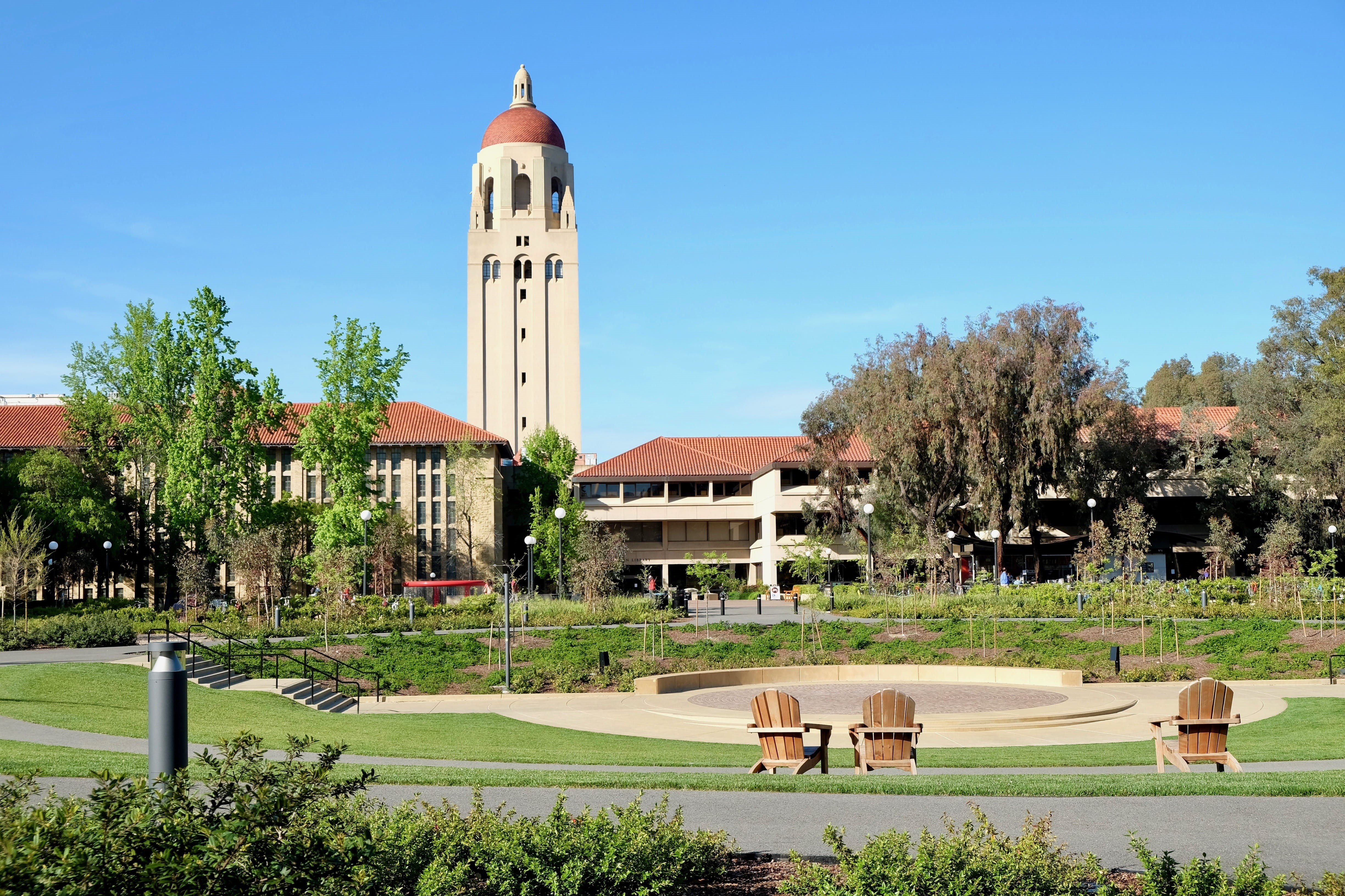 tree, built structure, green color, inteligence, landscape, building exterior, stanford, nature, famous, campus, study, grass, place of worship, beautiful, HD Wallpaper