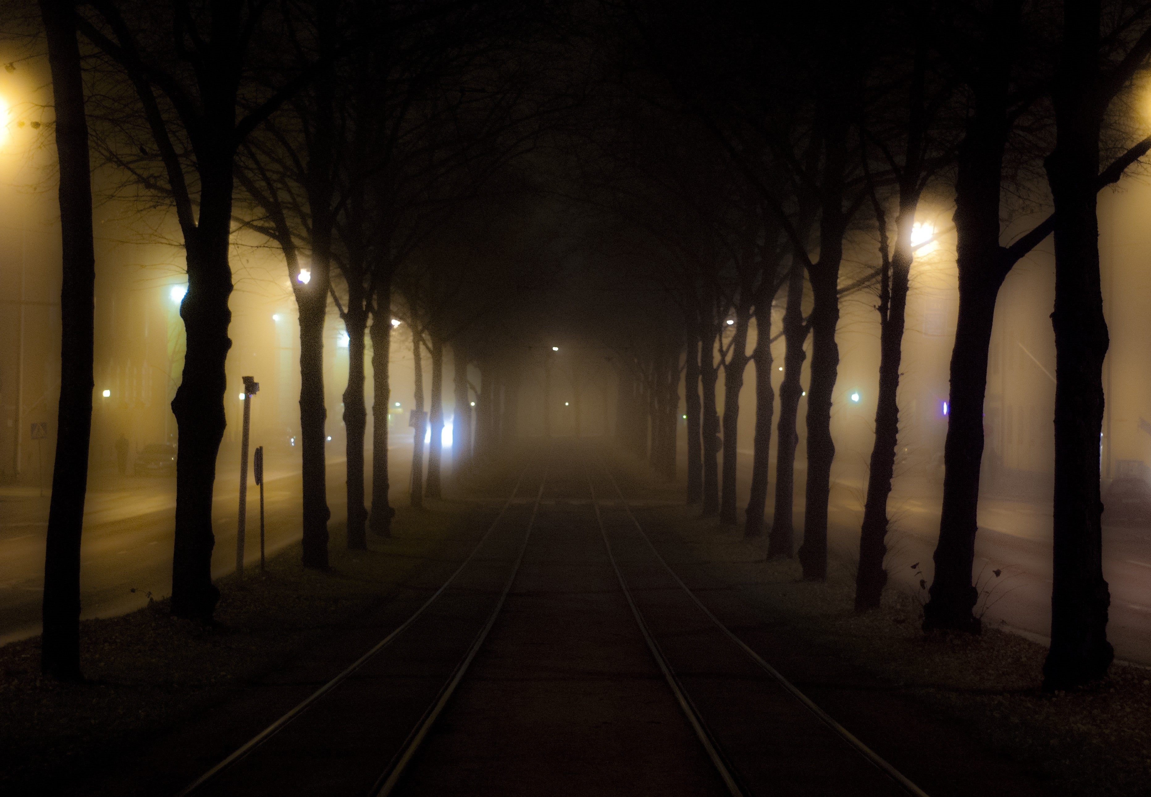 plant, trees, fall, outdoors, street, track, architecture, fog, road, treelined, lighting equipment, night, illuminated, in a row, direction, no people, HD Wallpaper