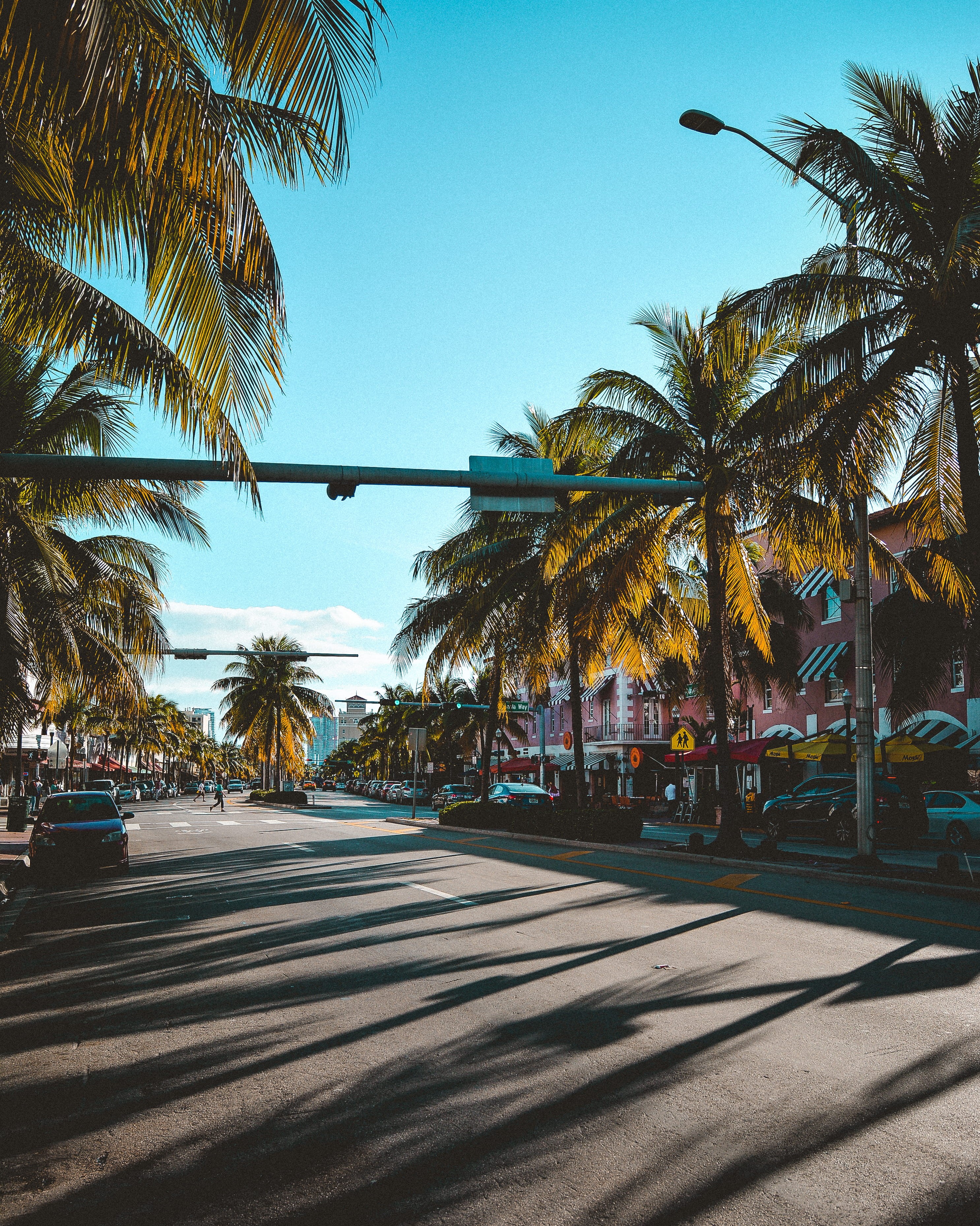 tree, palm tree, urban, clouds, florida, road, miami, tropical climate, sunlight, sky, the way forward, plant, 2K, outdoors, sunset, direction, tropical tree, Phone HD Wallpaper