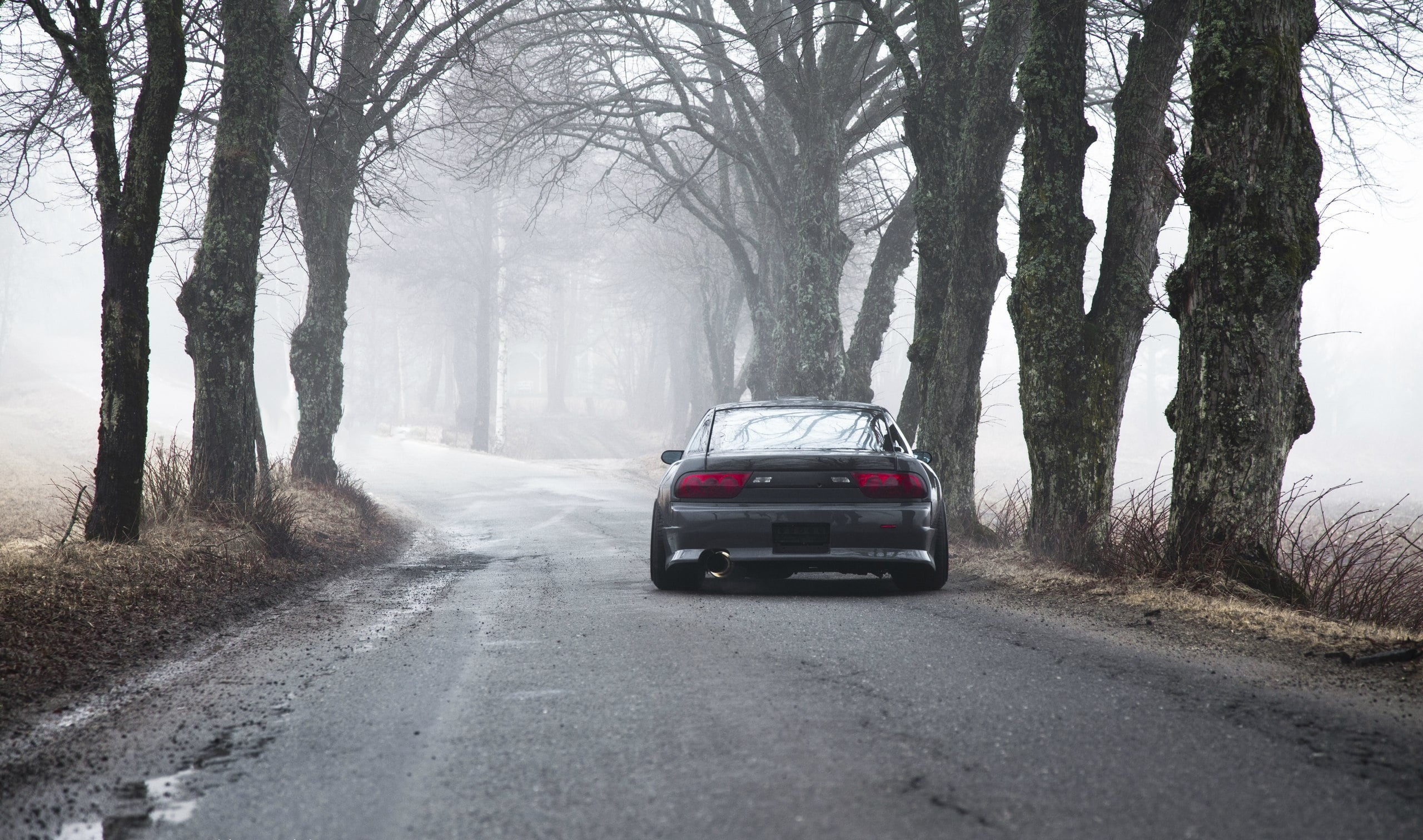 rural Scene, sports Car, cold - Temperature, rear-View Mirror, treelined, travel, black Color, 200sx, ontario - Canada, tree, Nissan, the way forward, day, HD Wallpaper