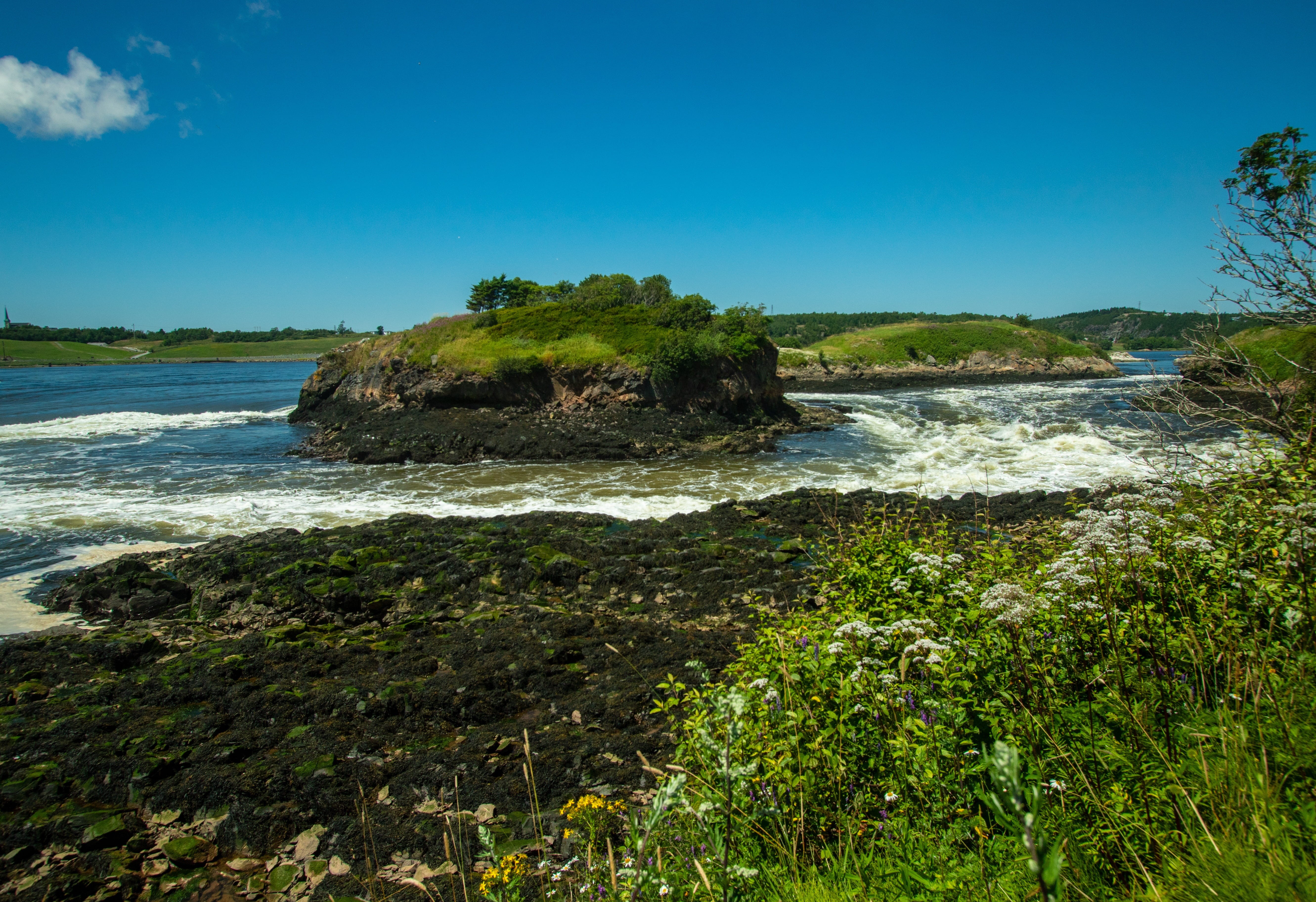rock - object, day, reversing falls, harbour, city, nature, saint john, sea, solid, bridge, land, sky, beauty in nature, motion, water, 5K, tranquil scene, HD Wallpaper
