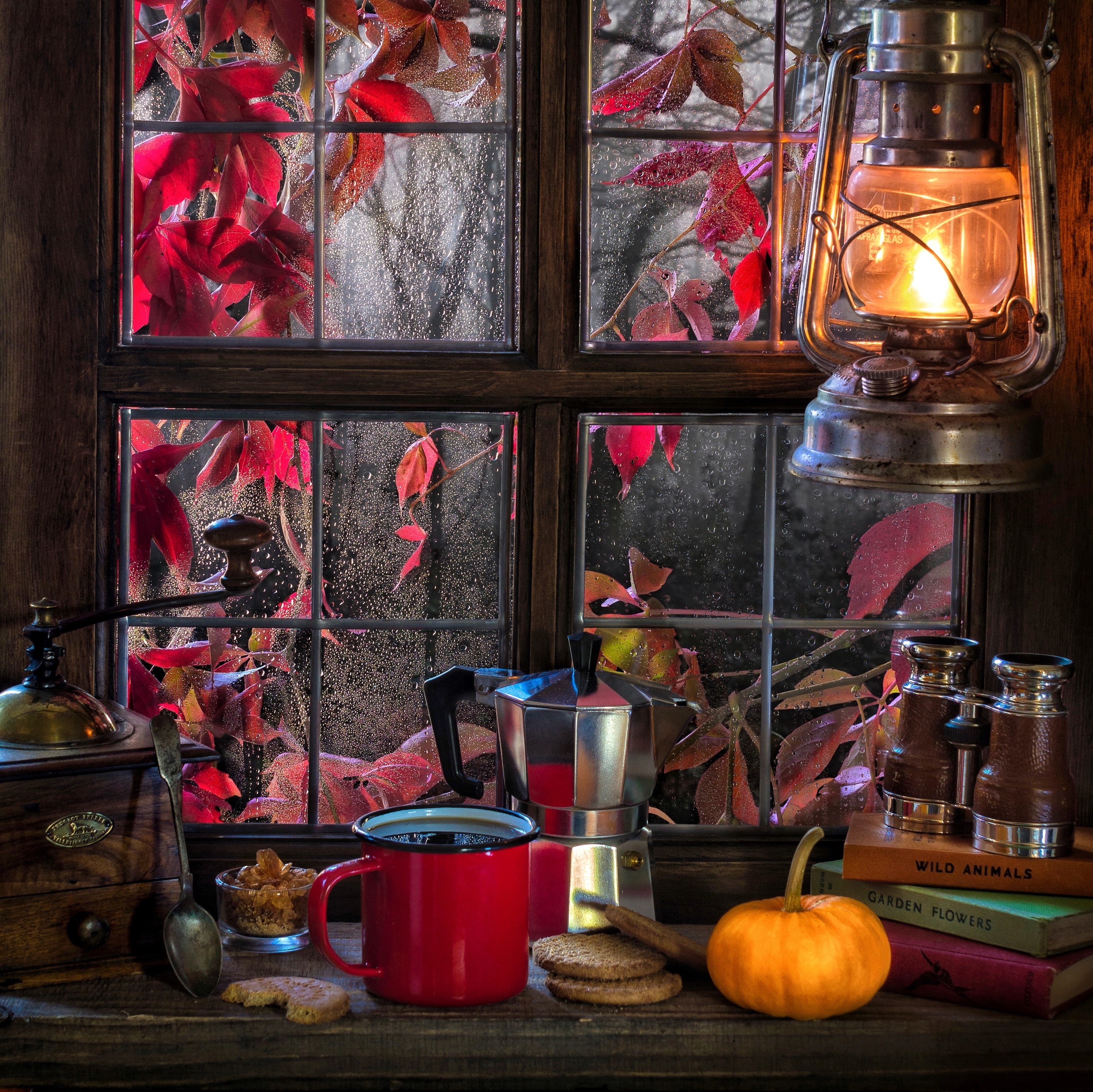 binoculars, pumpkin, coffee, lantern, 2K, cookies, window, coffee grinder, rain, books, autumn, still life, mug, style, HD Wallpaper