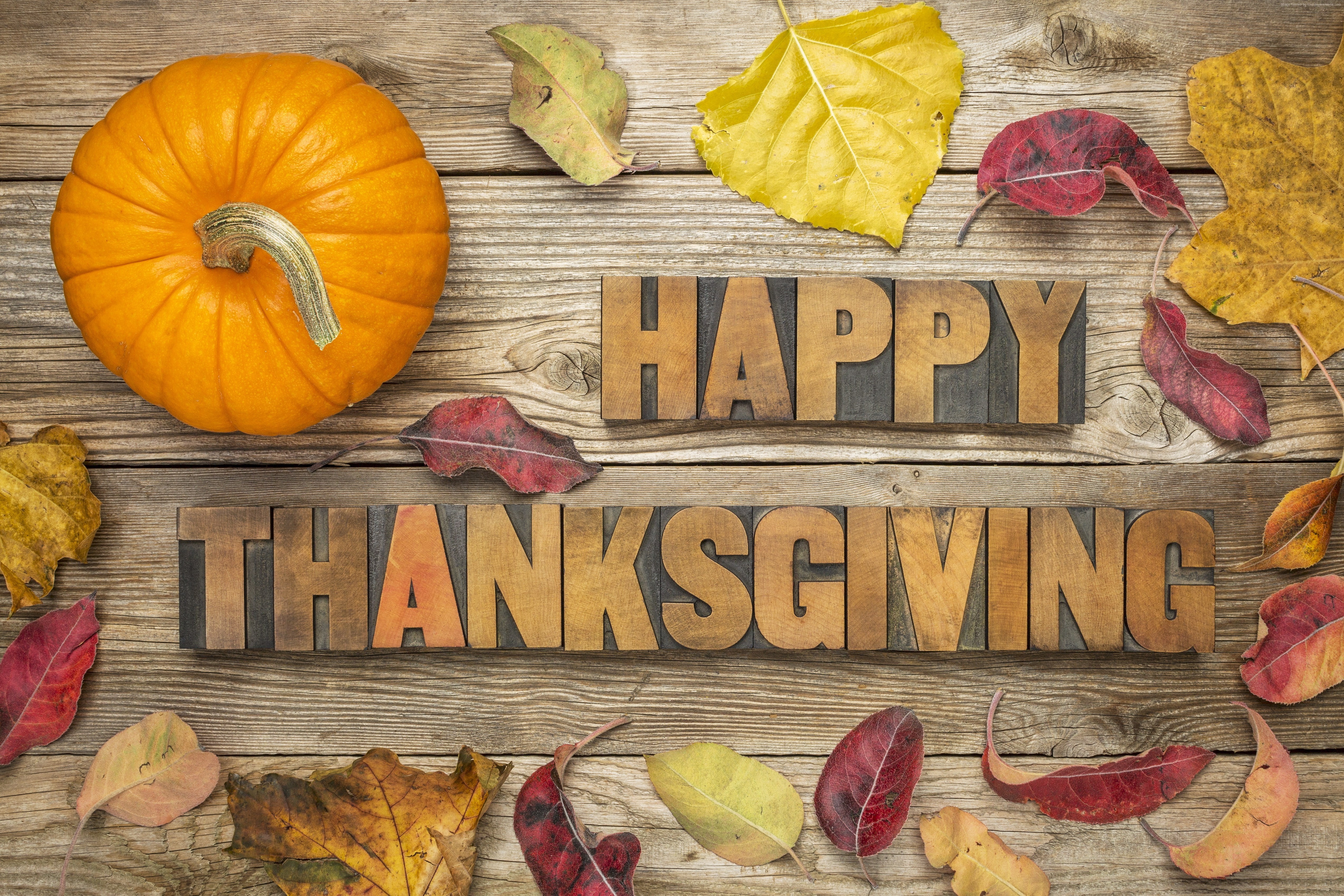 5K, 4K, leaves, Thanksgiving Day, pumpkin, HD Wallpaper