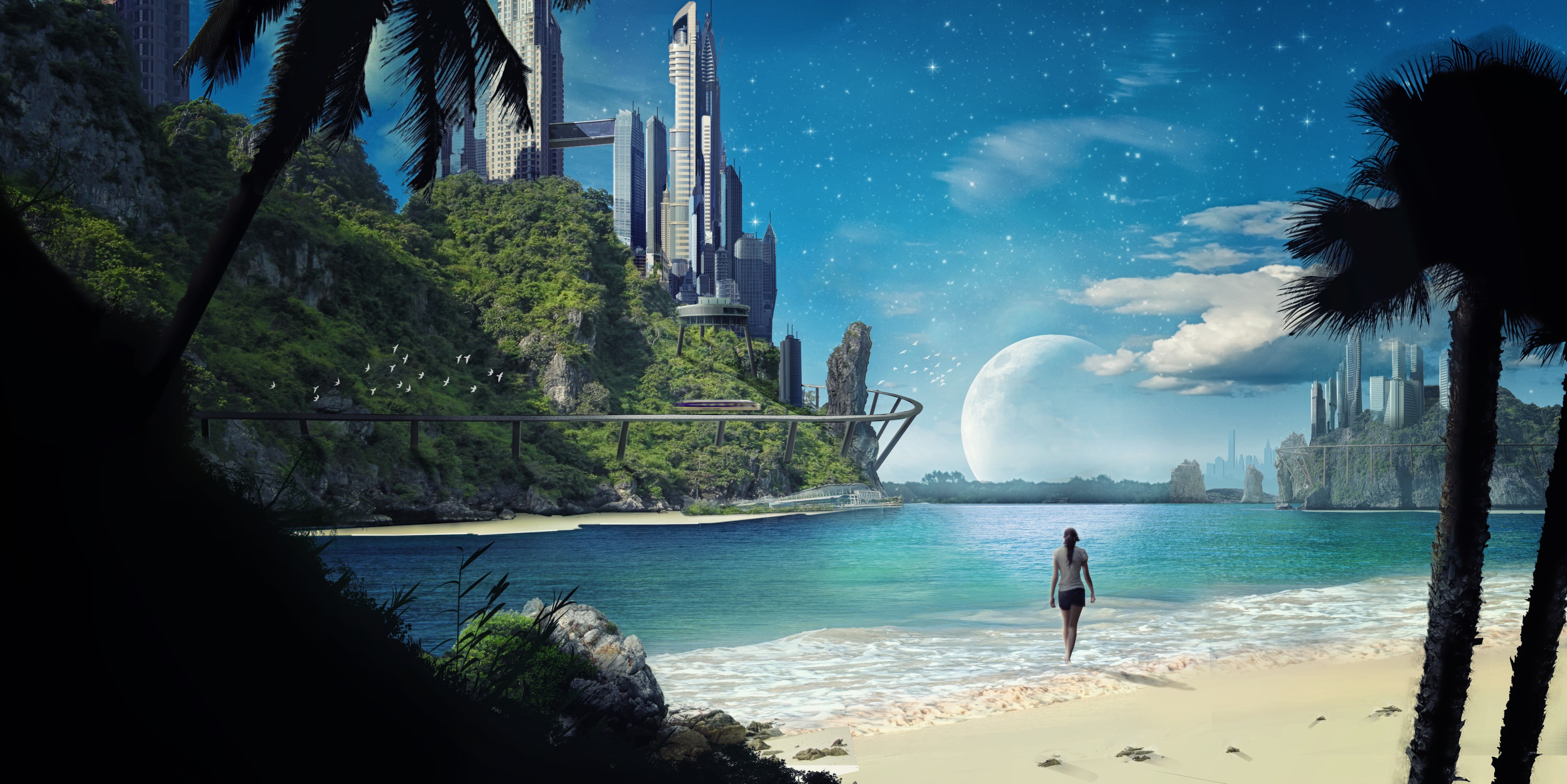beach, real people, high, concrete, leisure activity, lifestyles, space, built structure, 5K, outdoors, nature, water, palm tree, tree, gray, sea, beauty in nature, HD Wallpaper