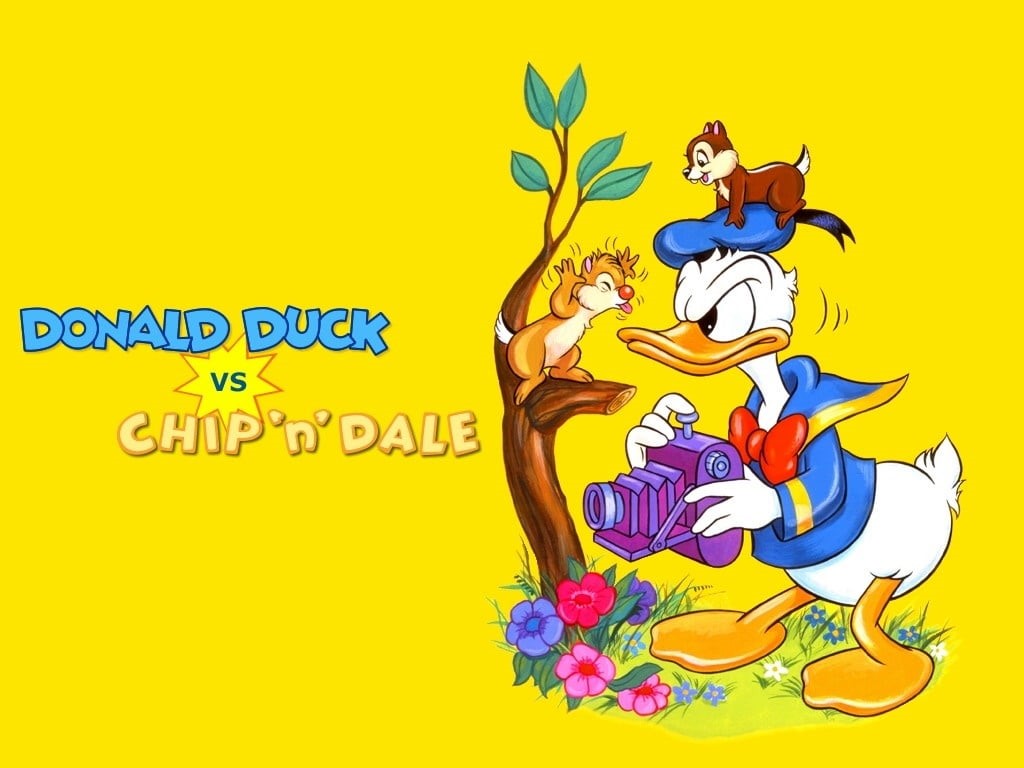 480P, communication, dale, nature, donald, vs, art and craft, creativity, domestic animals, chip, colored background, women, mural, water, decoration, HD Wallpaper
