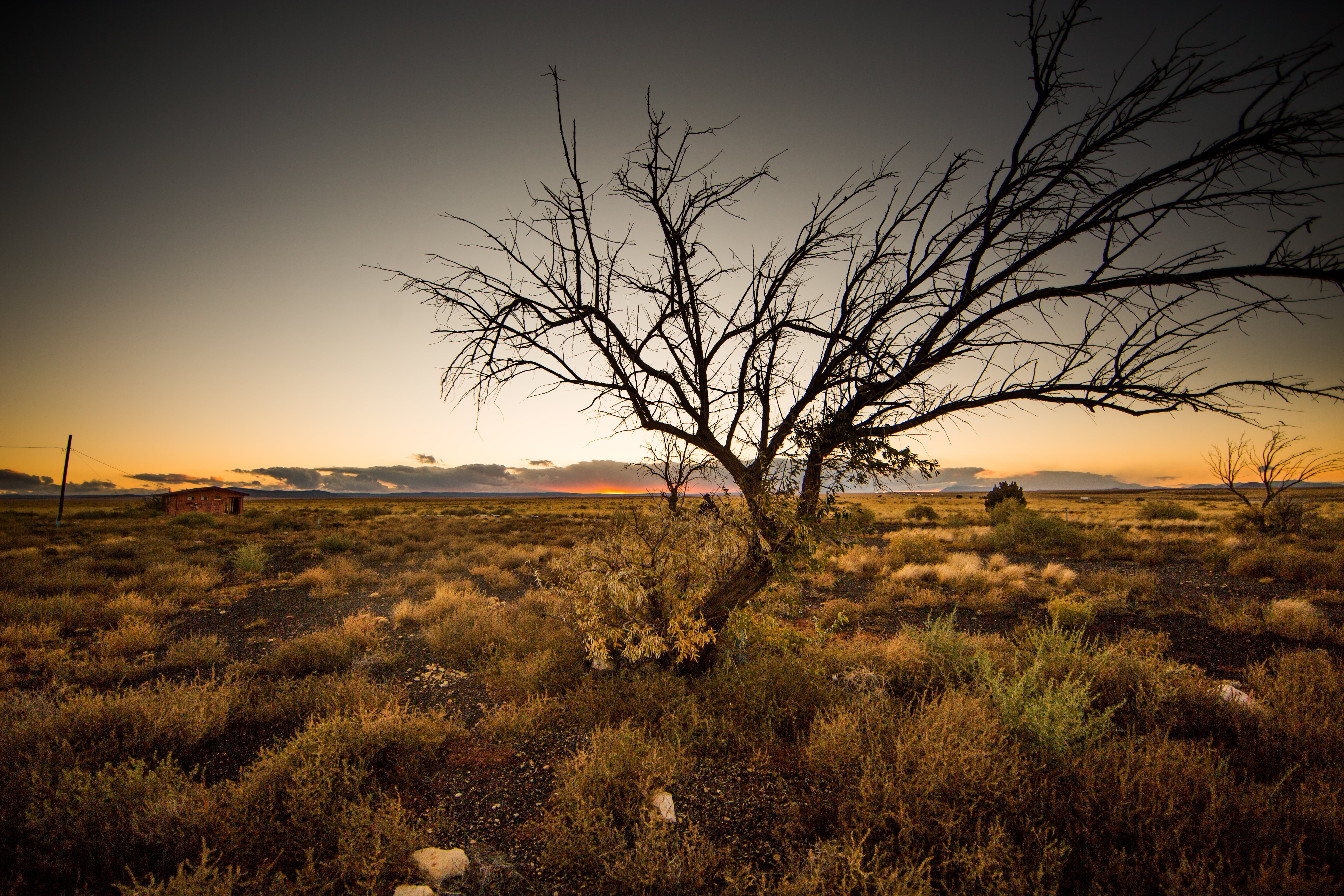 grass, scenics, Rte, field, Two Guns, Route 66, brown, Arizona, dusk, USA, Canyon Diablo, nature, outdoors, sky, 2 Guns, 5K, sunset, landscape, United States of America, HD Wallpaper