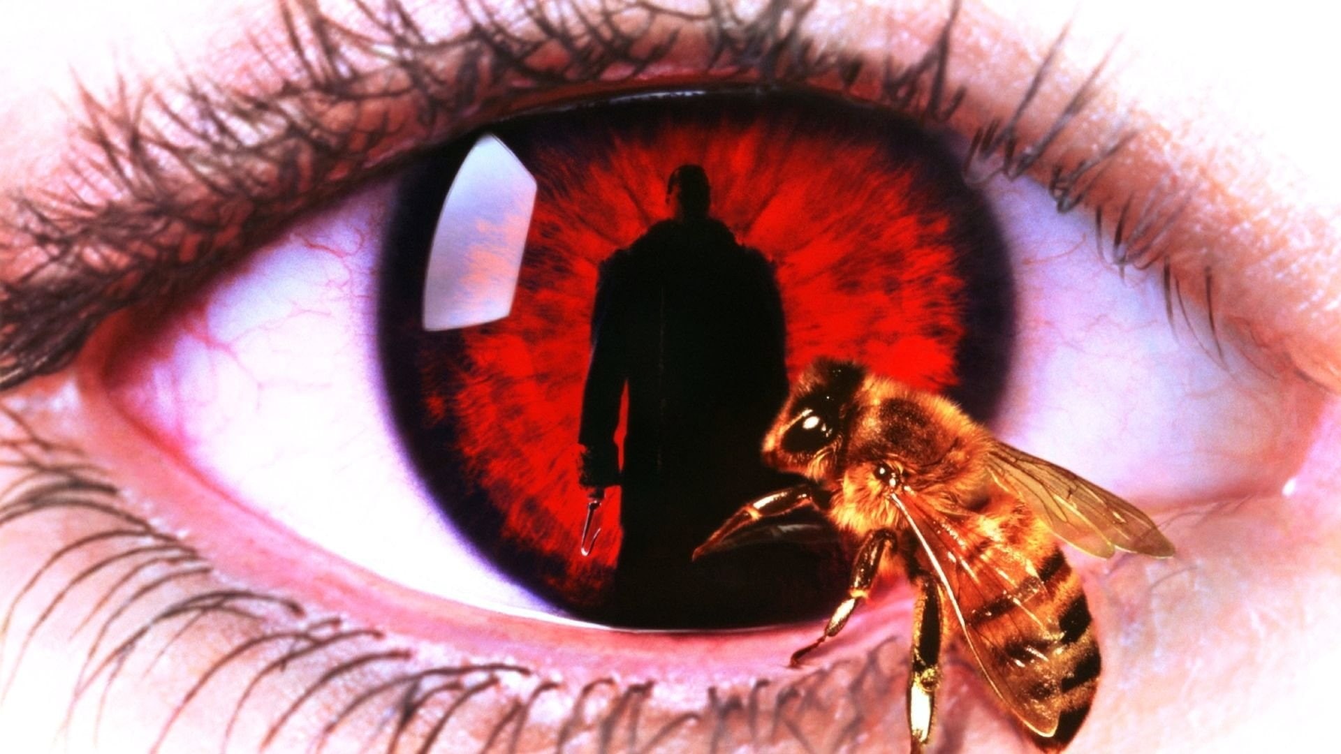 Movie, Candyman, 1080P, HD Wallpaper