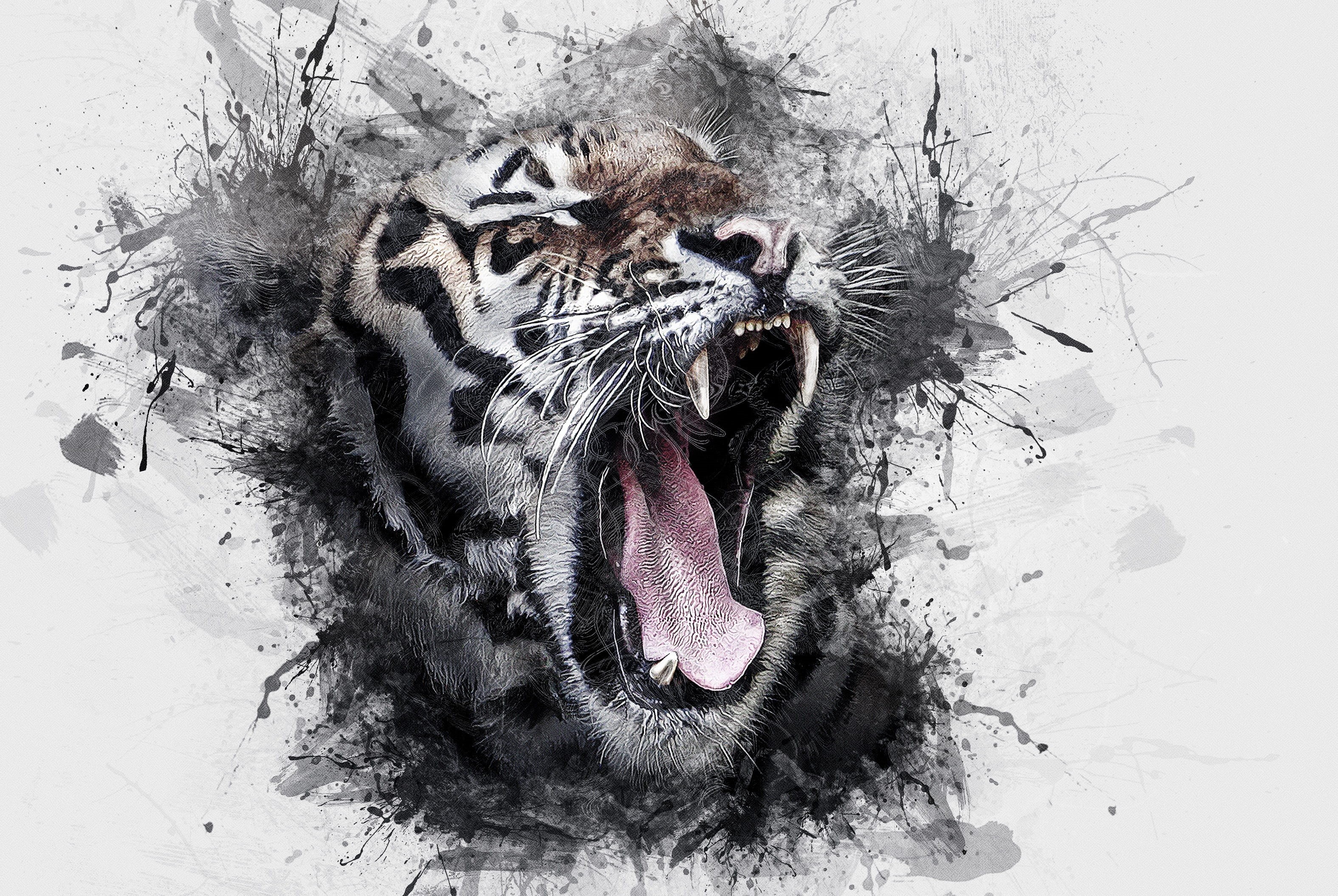 predator, big cat, one animal, animal head, wildlife, tiger, fur, fangs, animal themes, feline, close-up, animals in the wild, 2K, aggressive, animal body part, HD Wallpaper