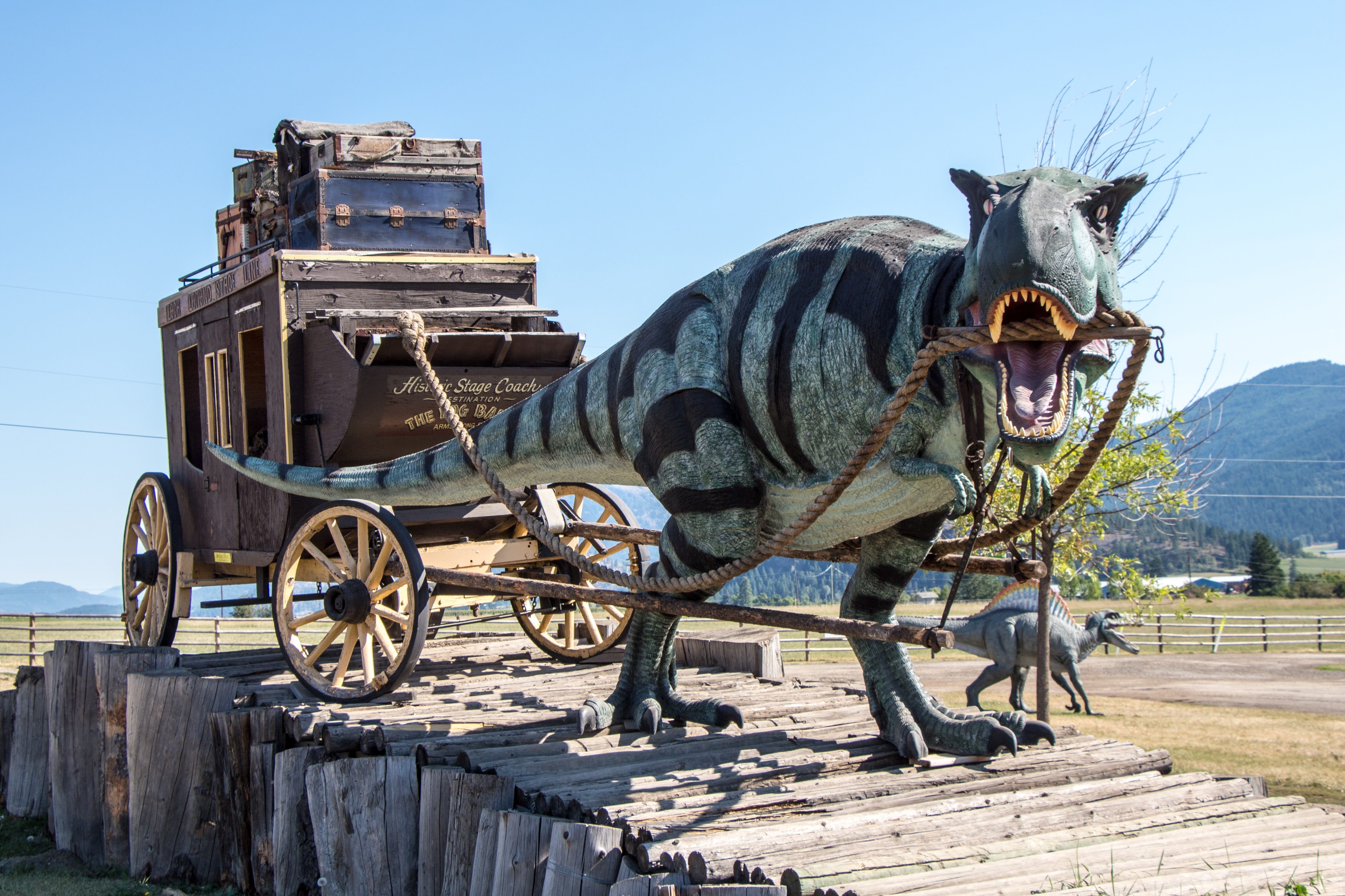 domestic animals, devour, t-rex, transportation, prehistoric, gray, ferocious, animal representation, horse, fierce, big, rex, clear sky, mammal, t rex, HD Wallpaper
