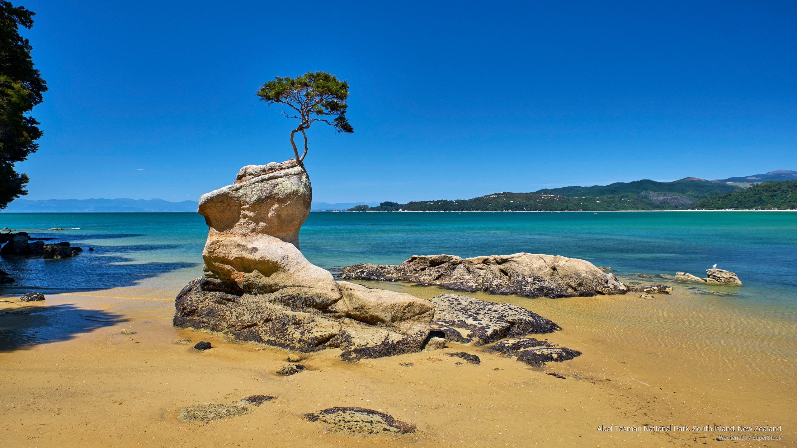 abel, new, 2K, park, island, tasman, zealand, south, national, Oceania, HD Wallpaper