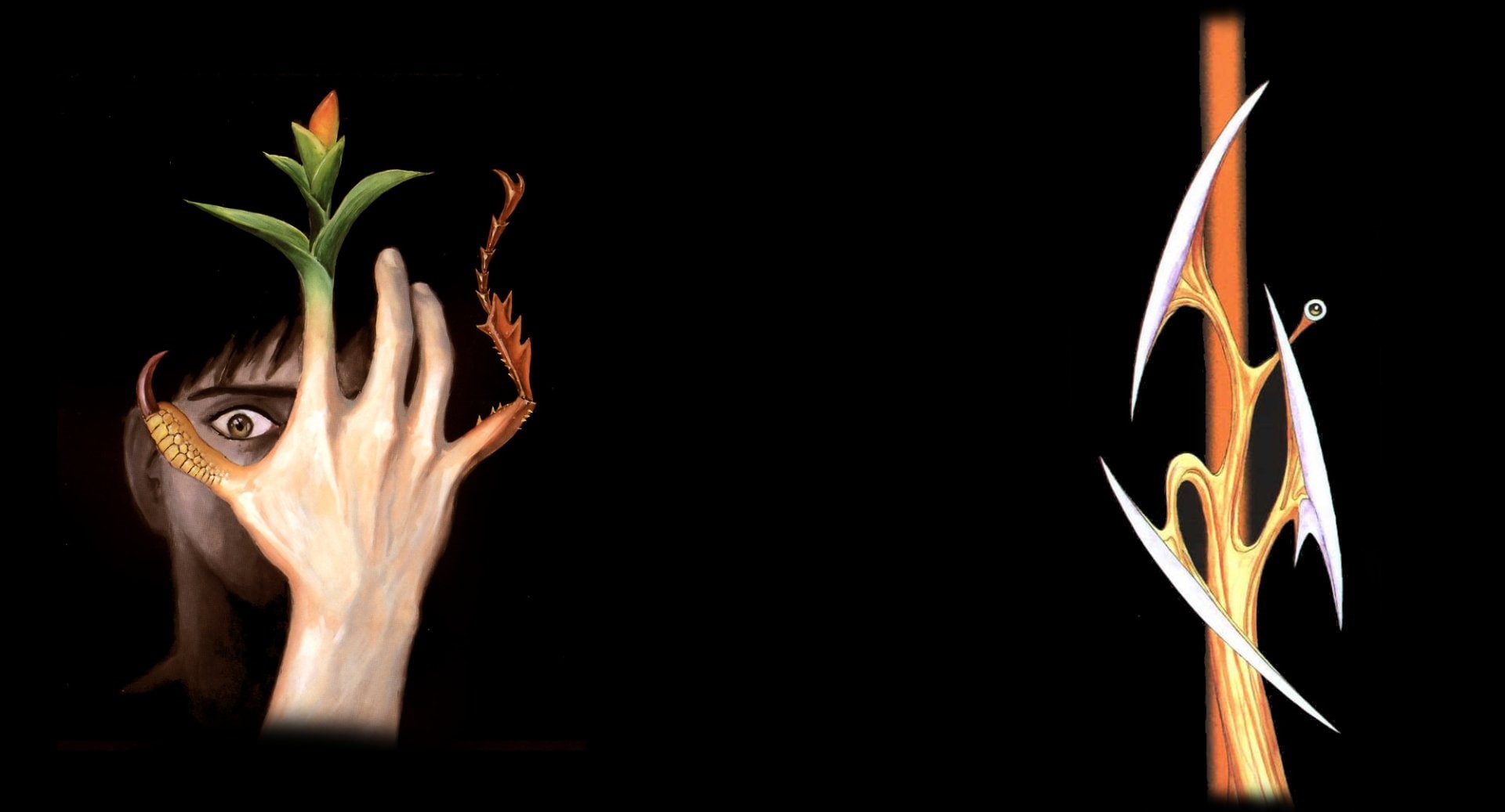 1080P, Anime, Migi (Parasyte -the Maxim-), Shinichi Izumi, Parasyte -the maxim-, HD Wallpaper