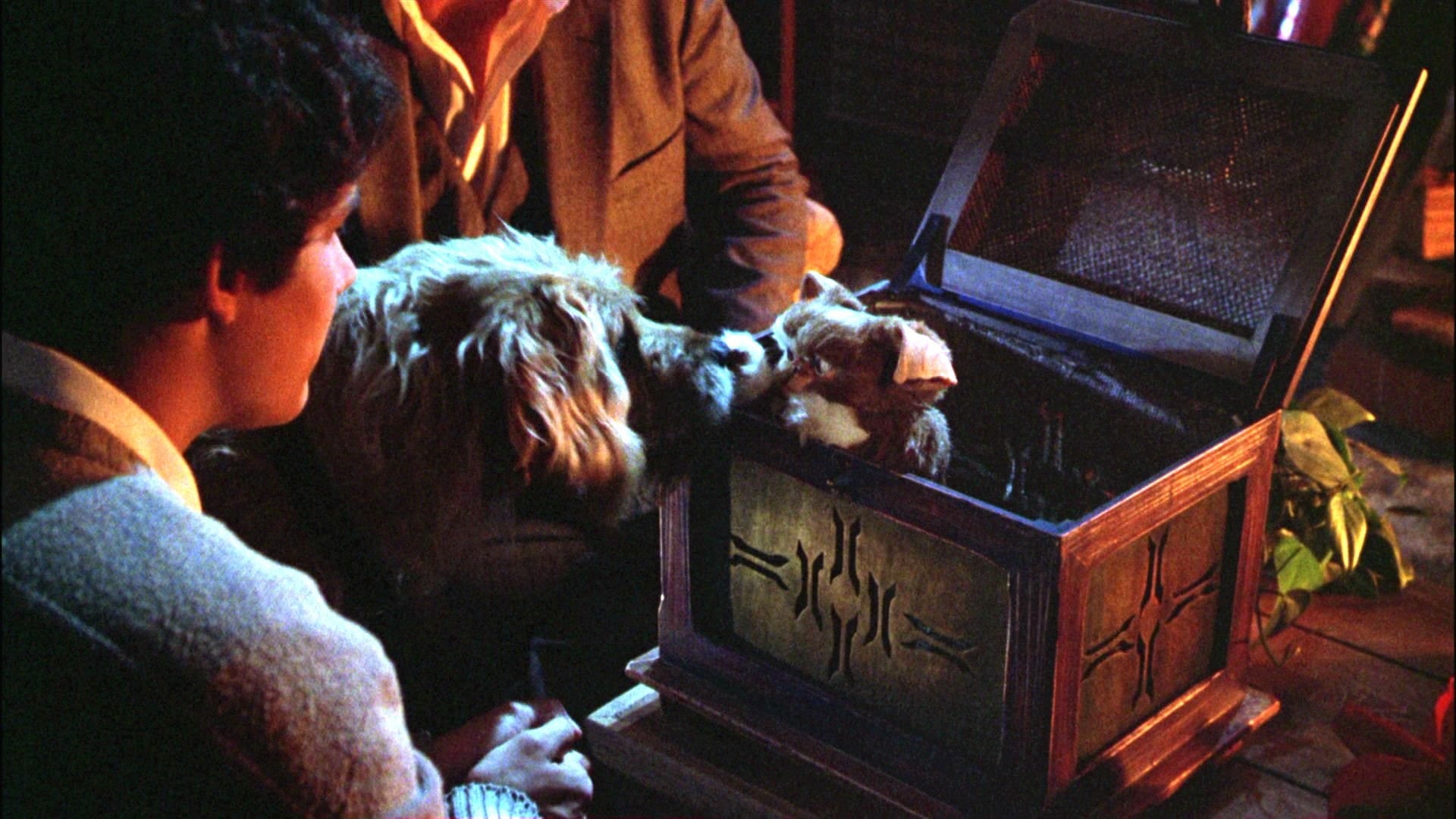 comedy, gremlins, creature, monster, horror, alien, 1080P, HD Wallpaper