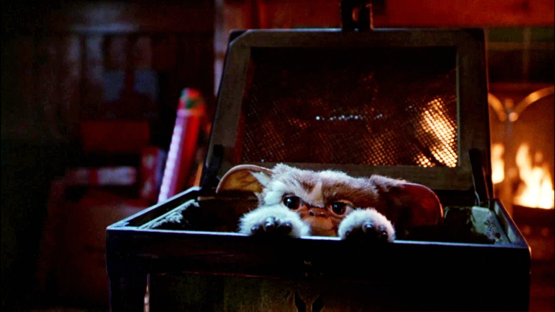 comedy, alien, gremlins, horror, 1080P, creature, monster, HD Wallpaper