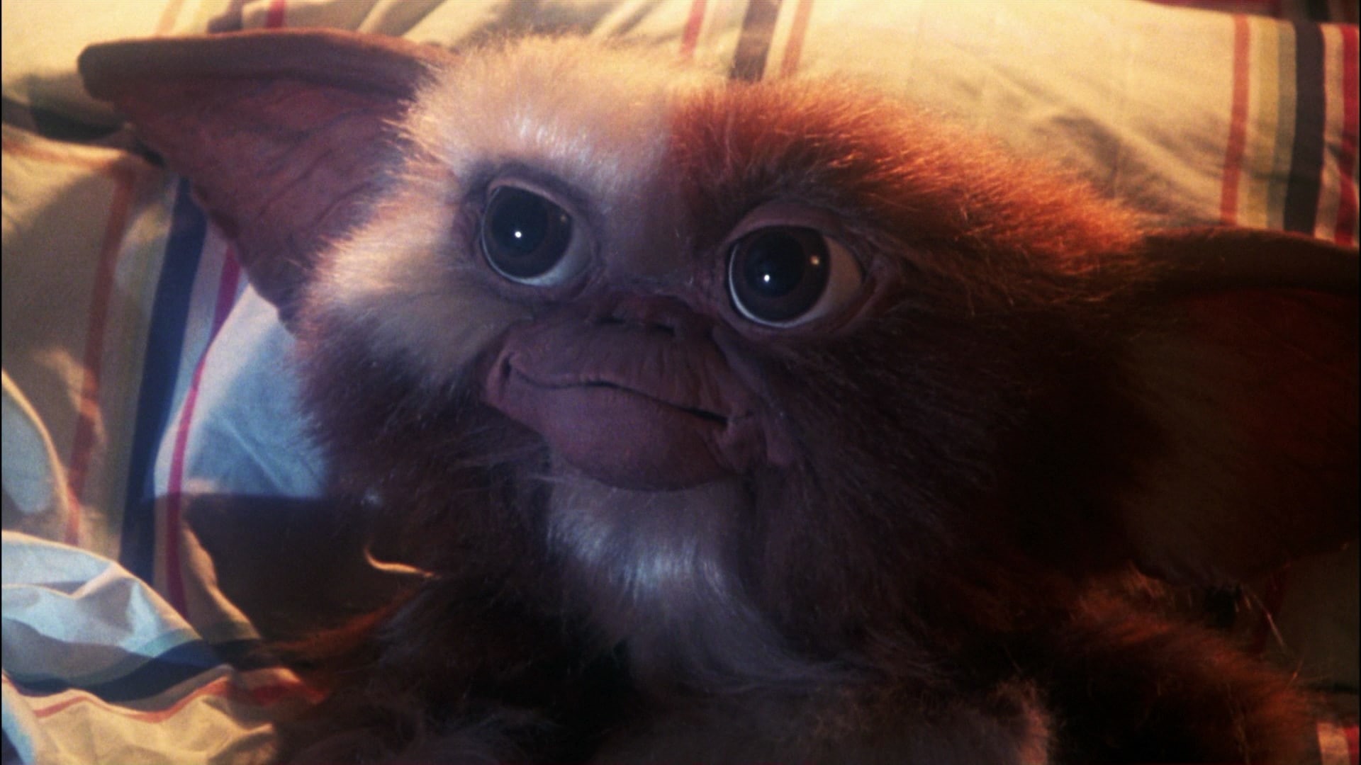 gremlins, 1080P, HD Wallpaper