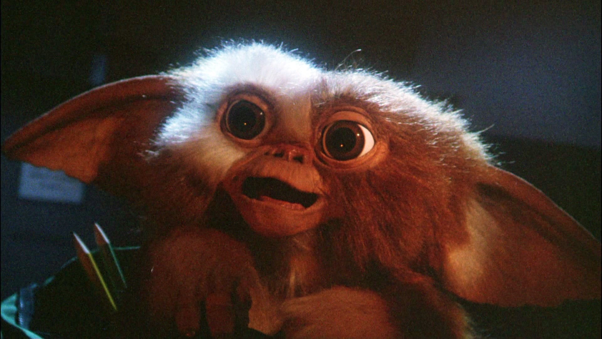 Movie, 1080P, Gremlins, HD Wallpaper