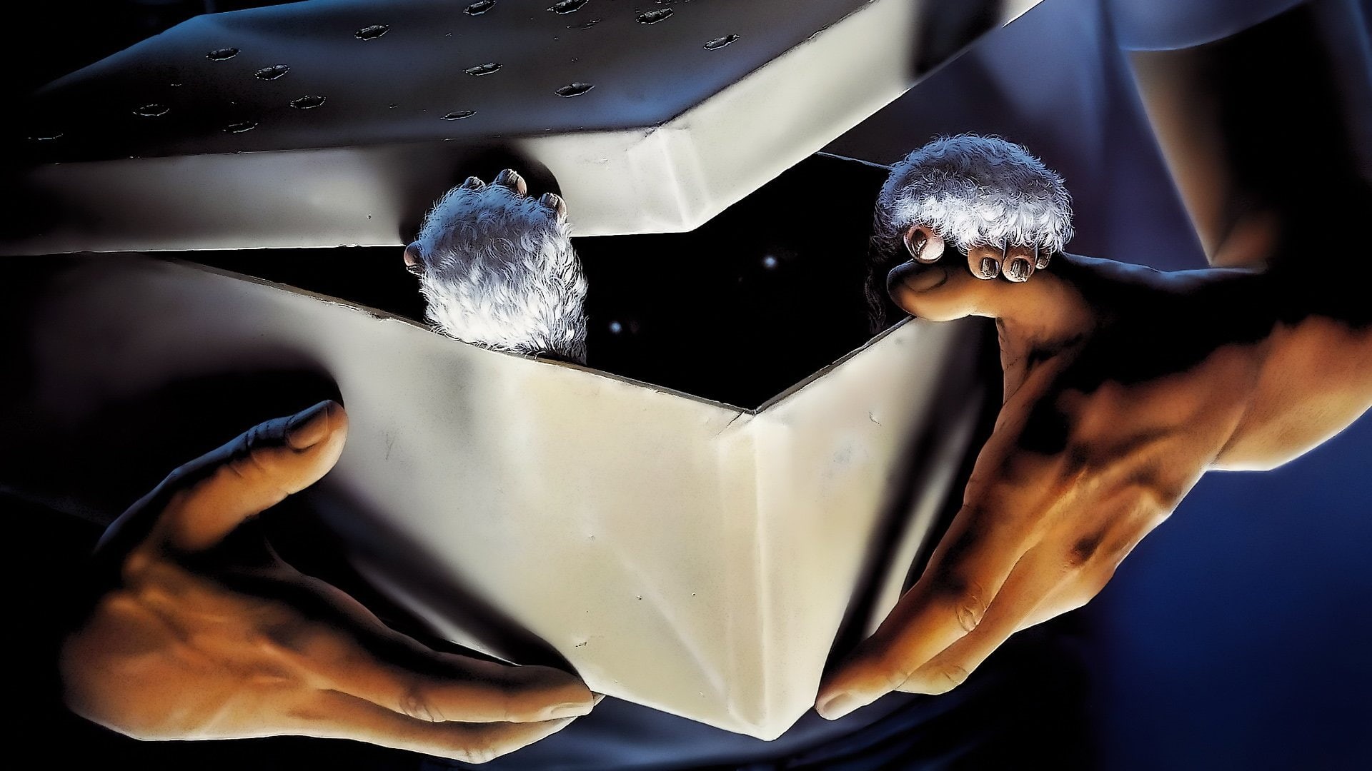 Gremlins, 1080P, Movie, HD Wallpaper
