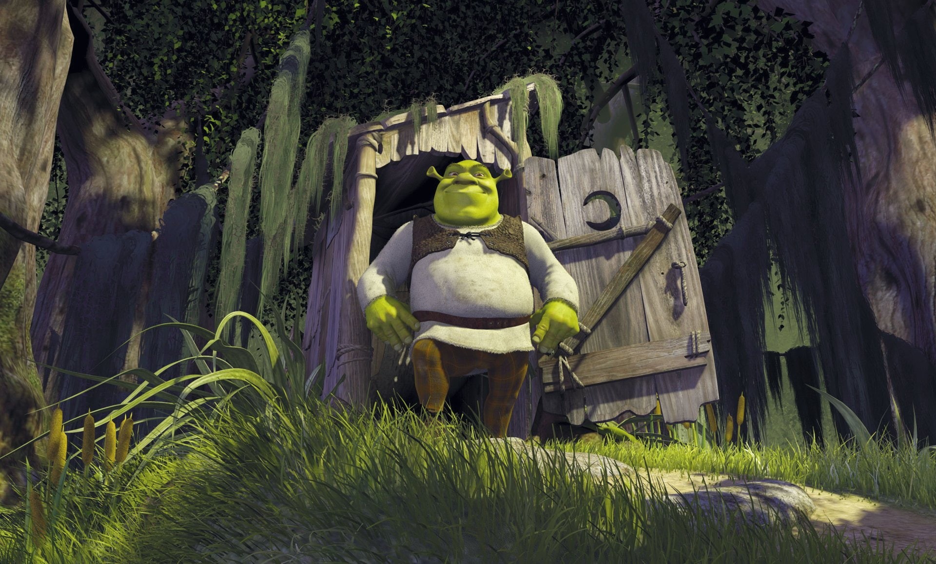 1080P, Shrek, HD Wallpaper