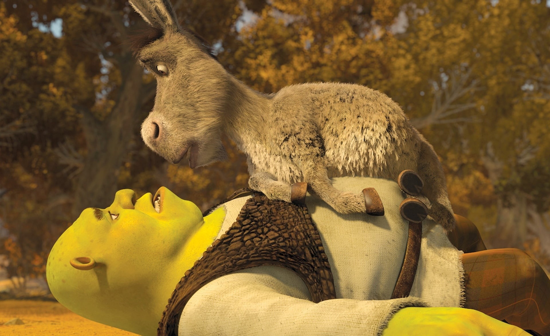 close-up, shrek the final chapter, shrek forever after, mammal, no people, 1080P, Cartoons, day, yellow, shrek and donkey, nature, tree, Shrek, brown, HD Wallpaper
