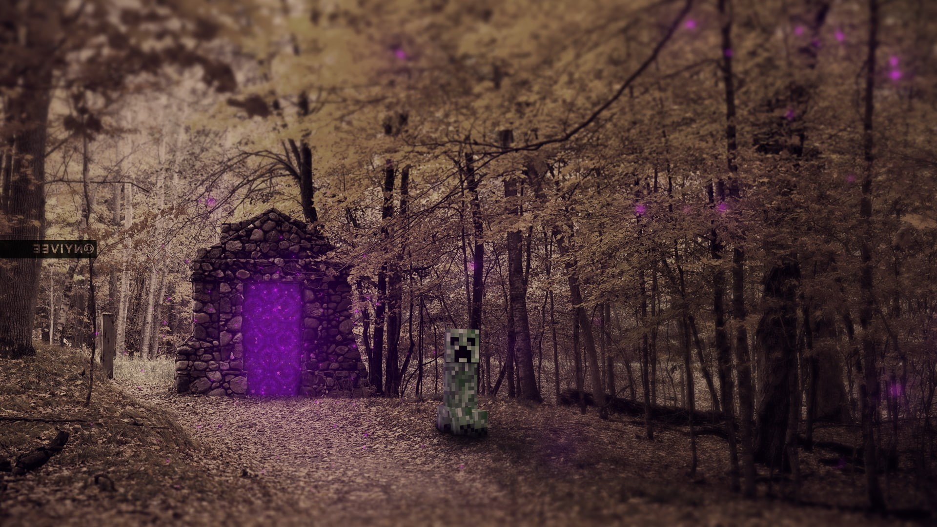 beauty in nature, real people, landscape, night, architecture, tree, growth, Creeper, 1080P, Minecraft, purple, Realistic, land, one person, plant, Nether Portal, HD Wallpaper