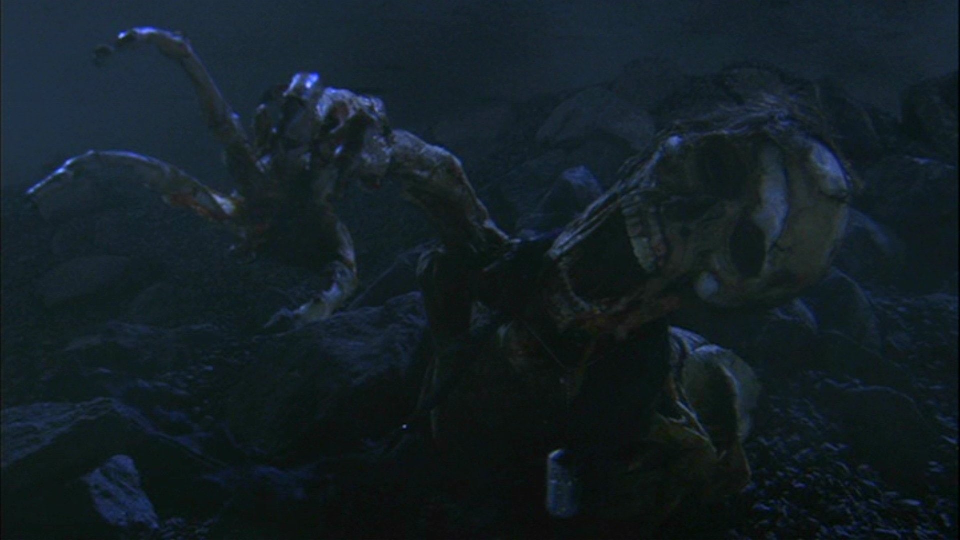 Starship Troopers 2: Hero Of The Federation, 1080P, Starship Troopers, HD Wallpaper