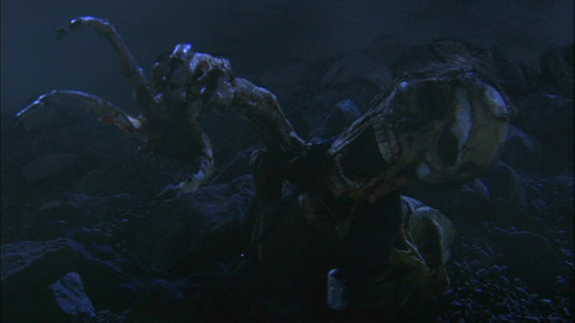 starship troopers 2 hero of the federation, 1080P, HD Wallpaper